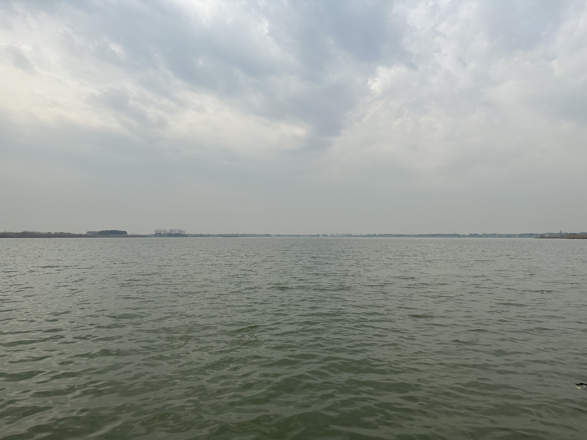 锦溪湖小沙滩(露营地)旅行图片 1