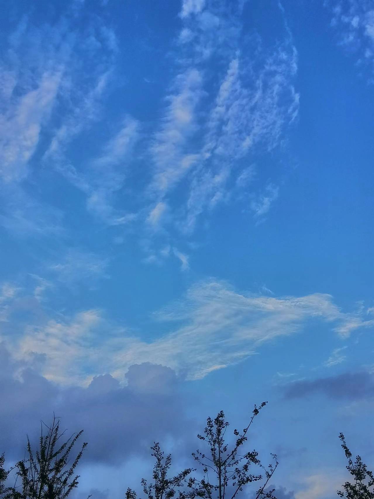 百亩湖公园旅行图片 3