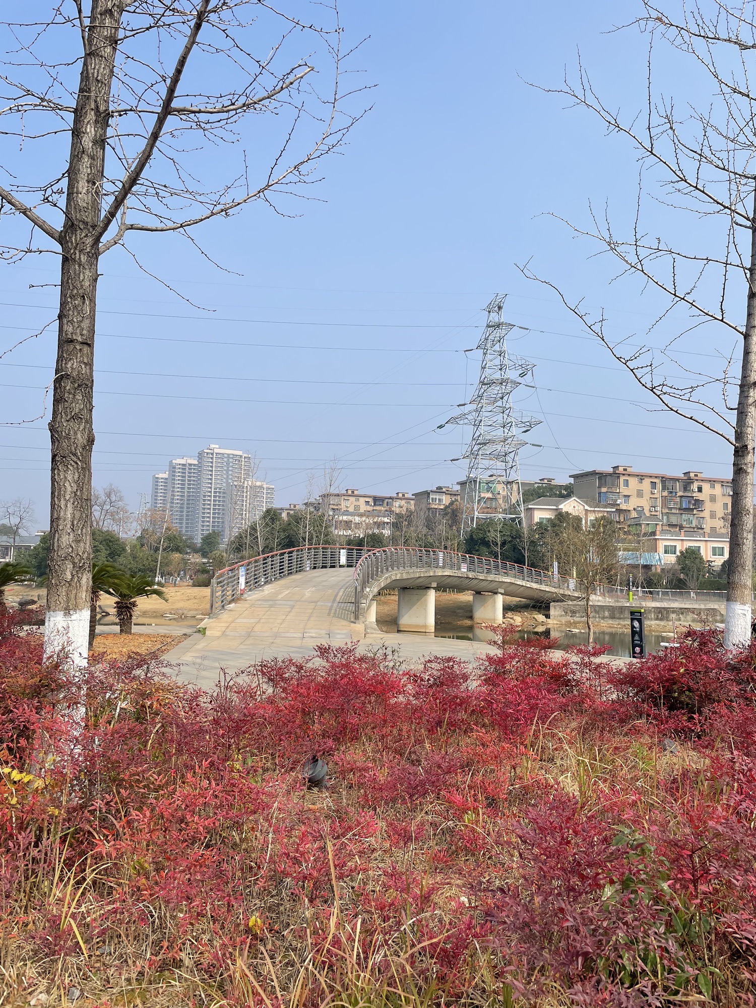 百亩湖公园旅行图片 3