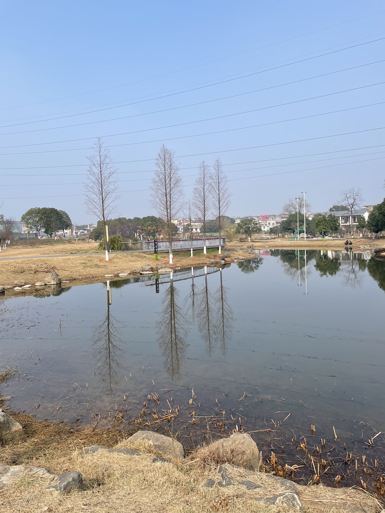 百亩湖公园旅行图片 1