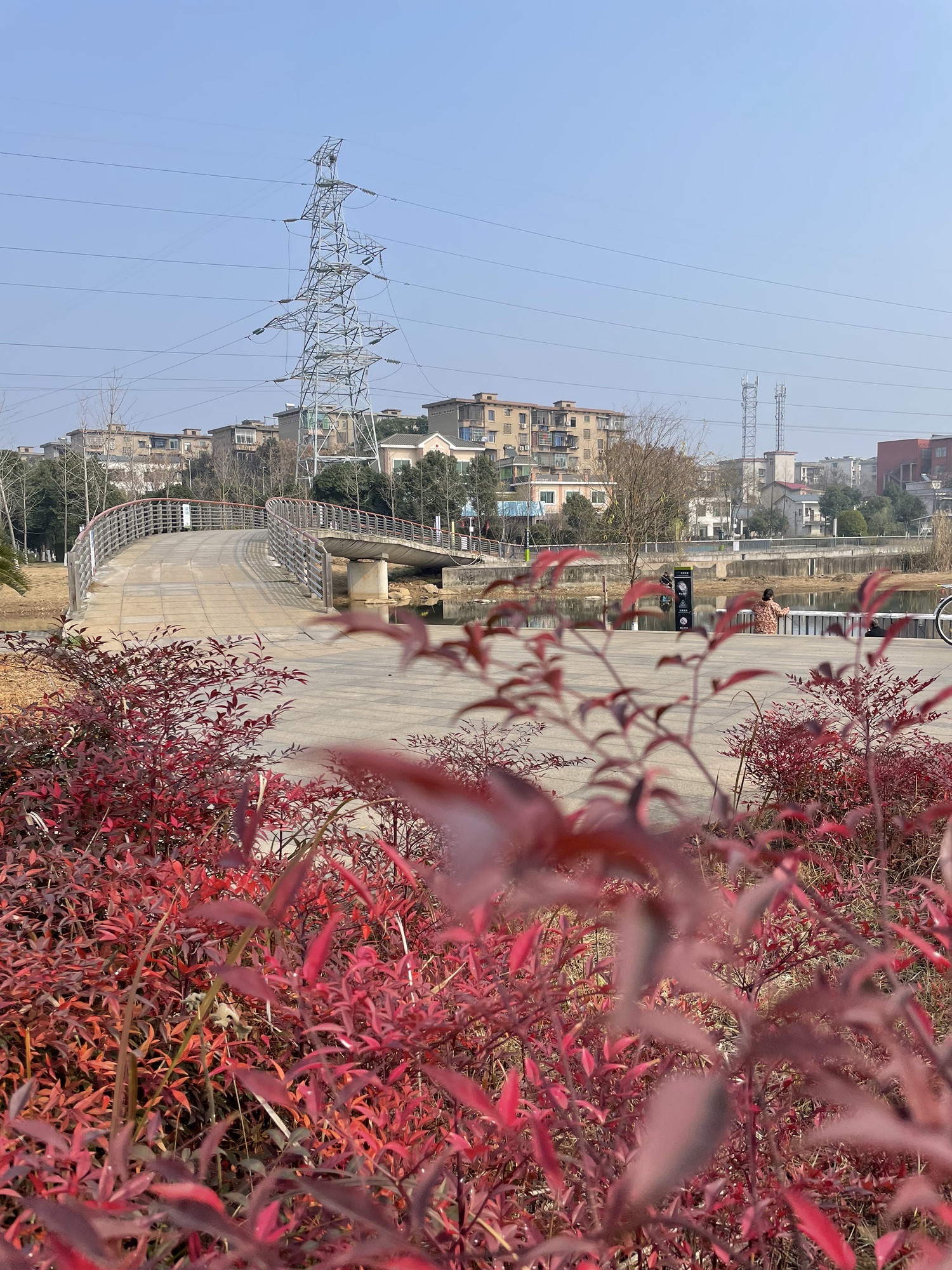 百亩湖公园旅行图片 2