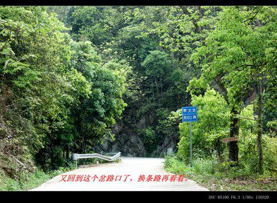 大龙山风景区旅行图片 3