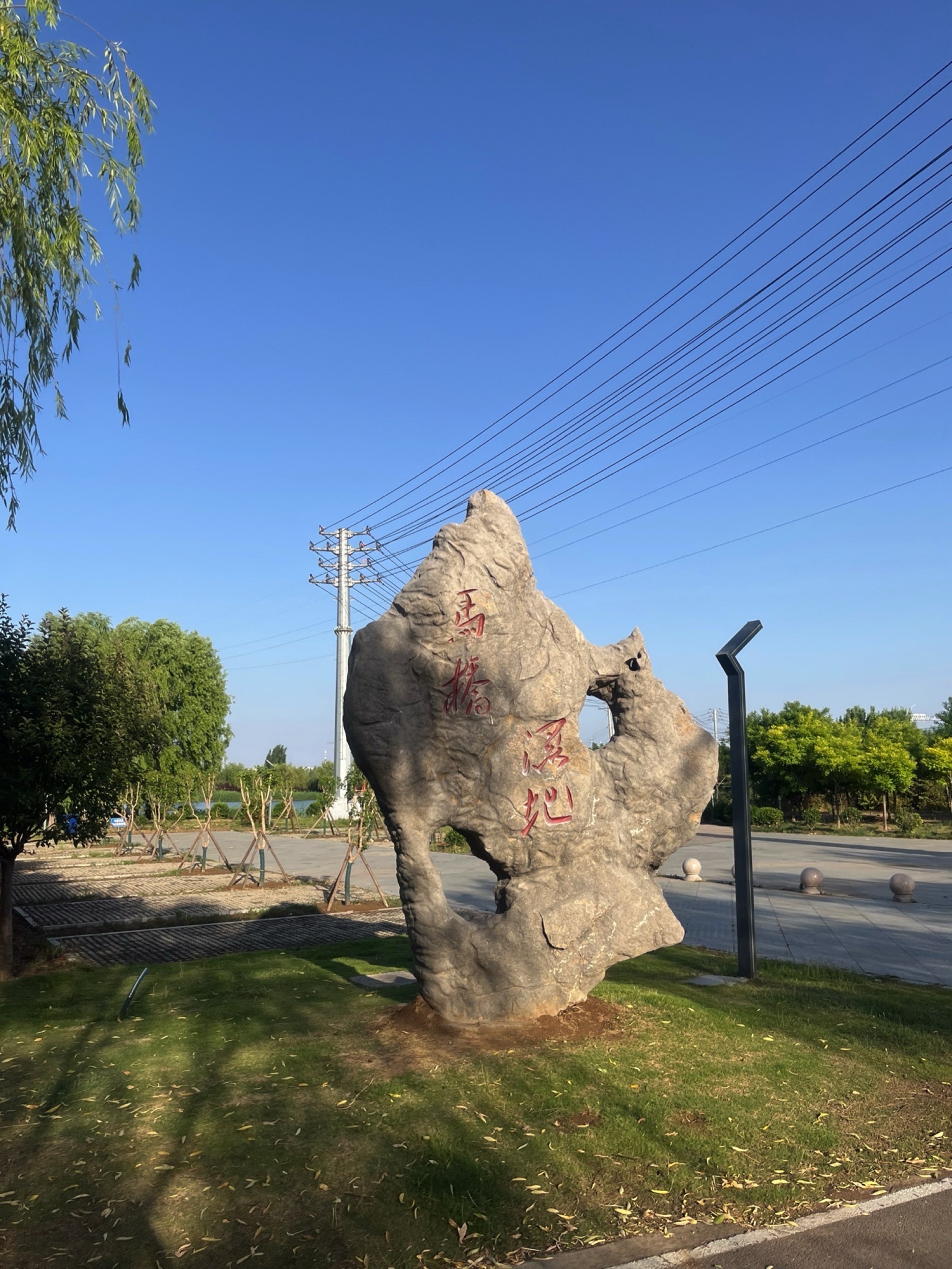 马桥湿地旅行图片 1