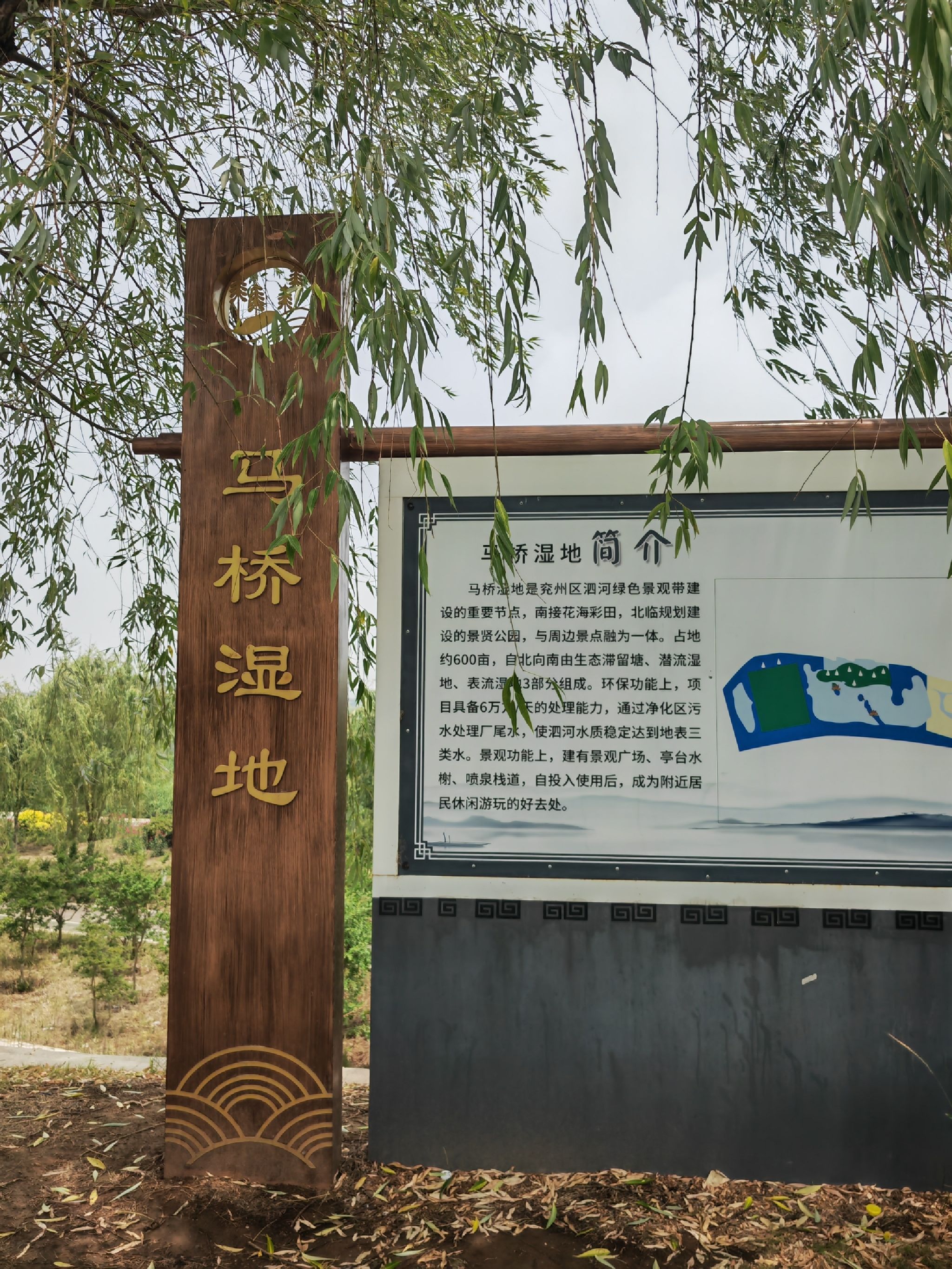 马桥湿地旅行图片 2