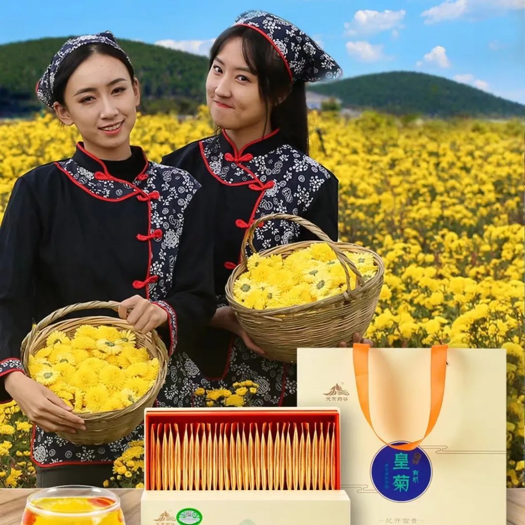 天蒙药谷旅行图片 3