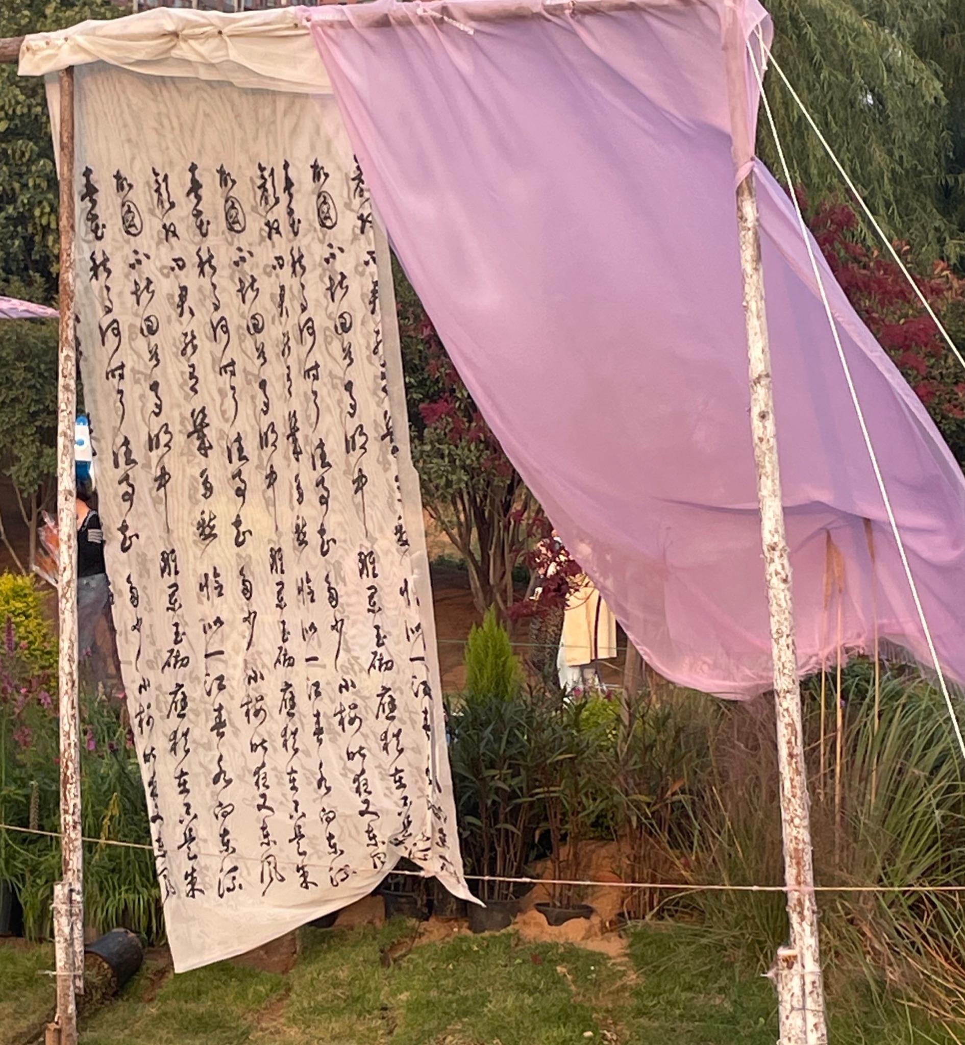河湾公园旅行图片 1