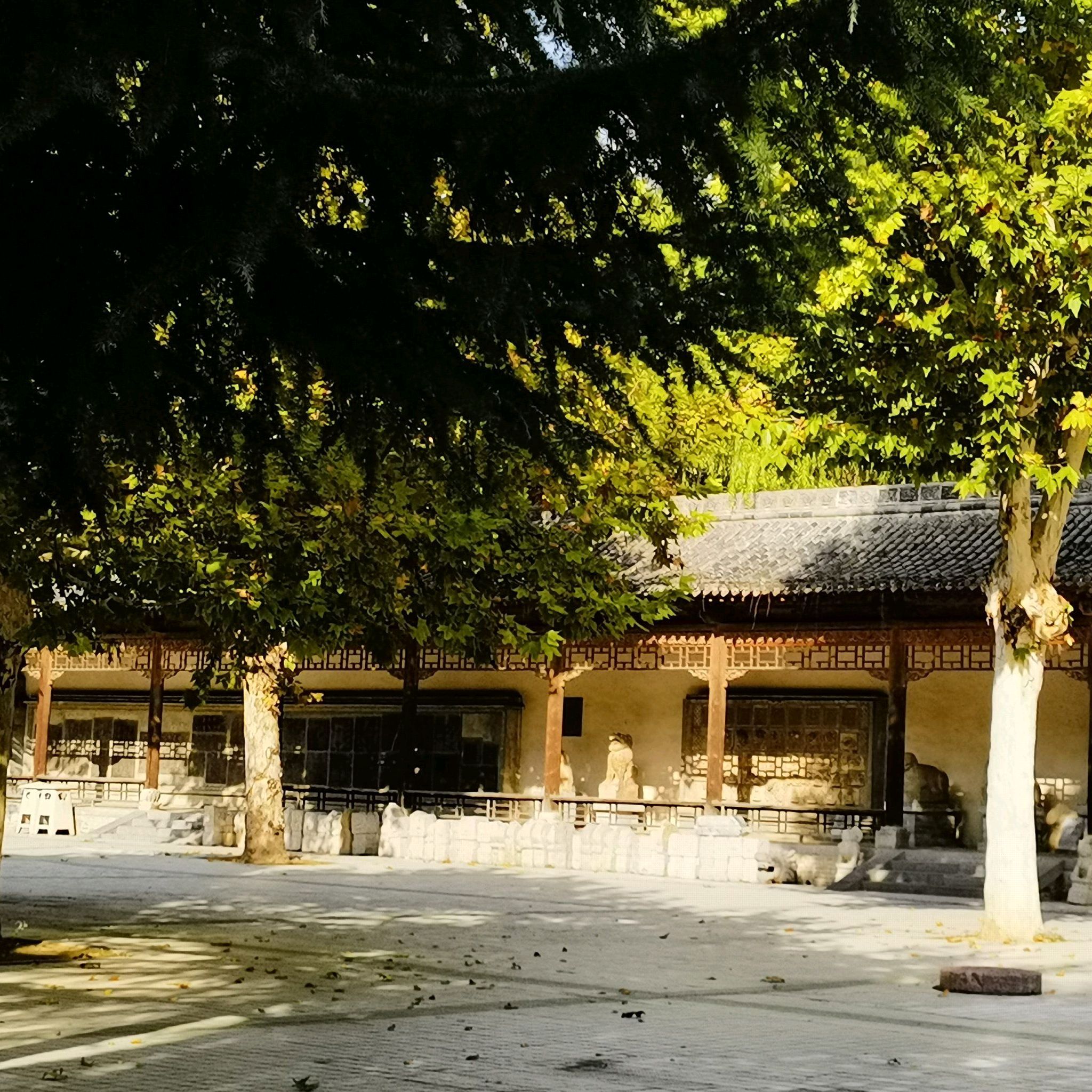 舜帝德孝文化旅游景区旅行图片 1
