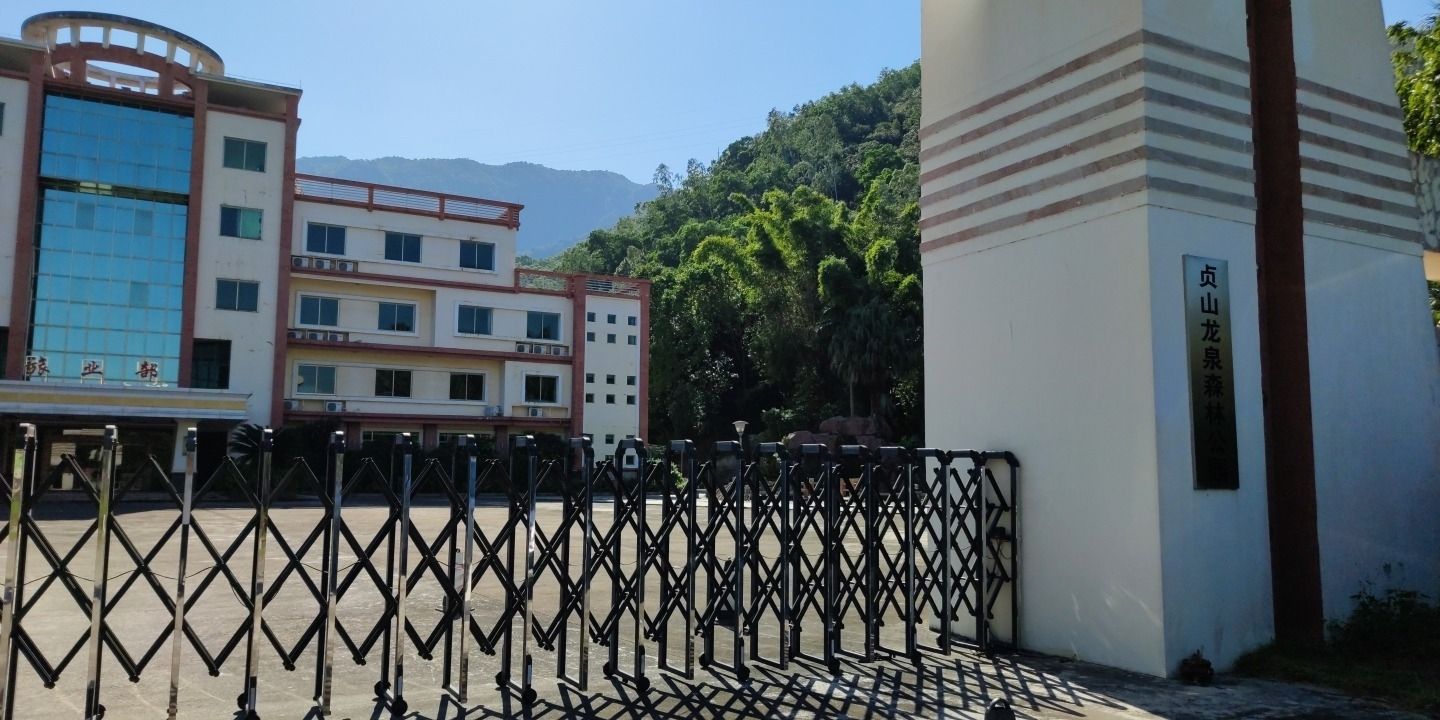贞山龙泉森林公园旅行图片 2