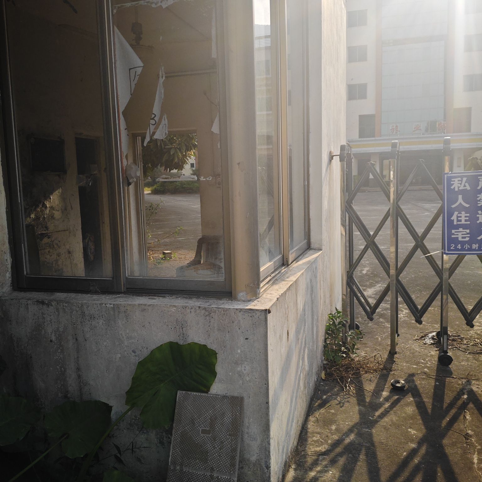贞山龙泉森林公园旅行图片 1