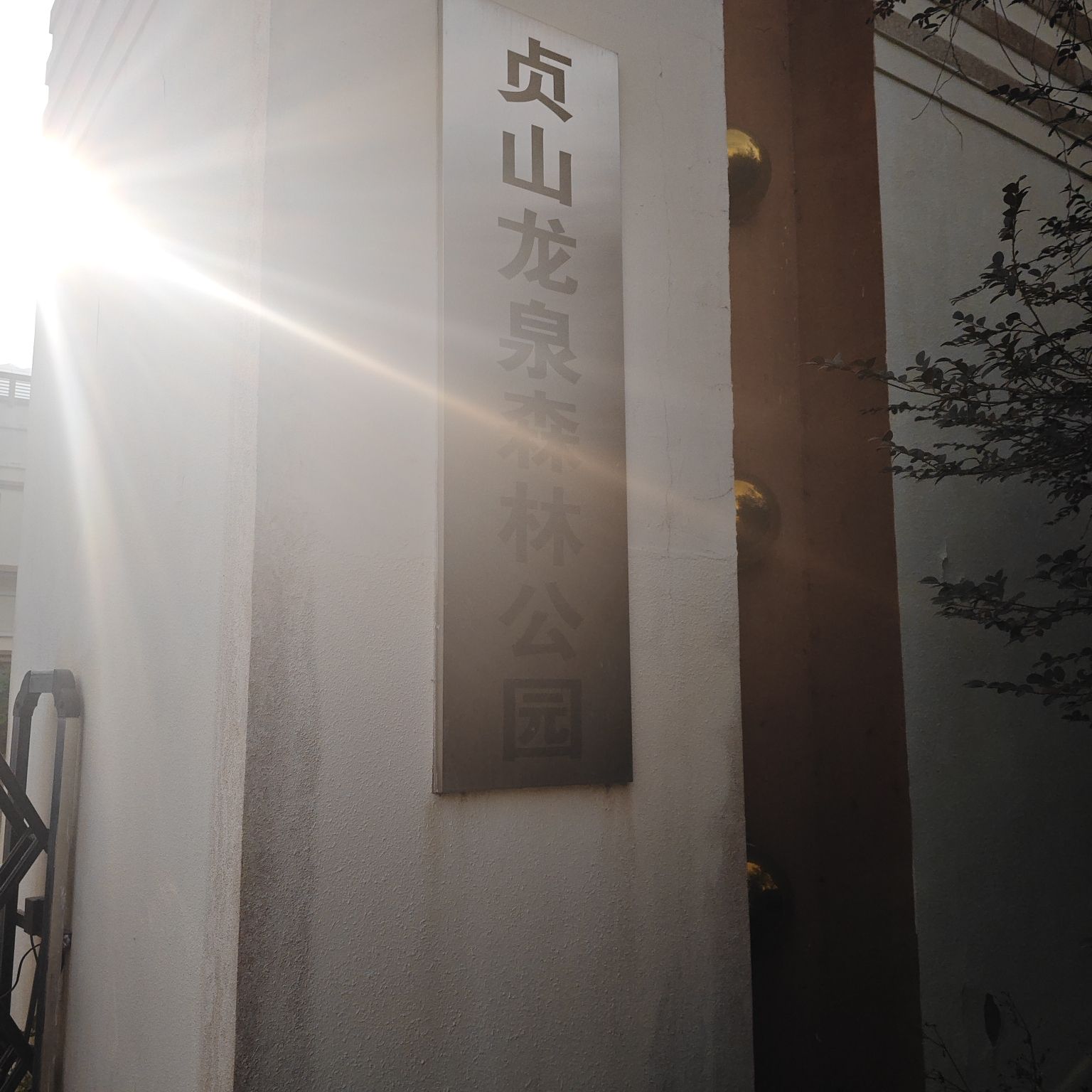 贞山龙泉森林公园旅行图片 2