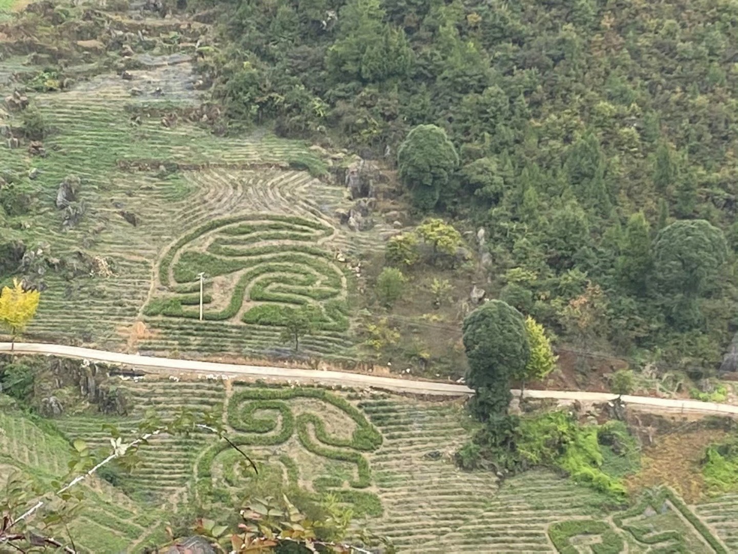 巫峡神女景区旅行图片 2