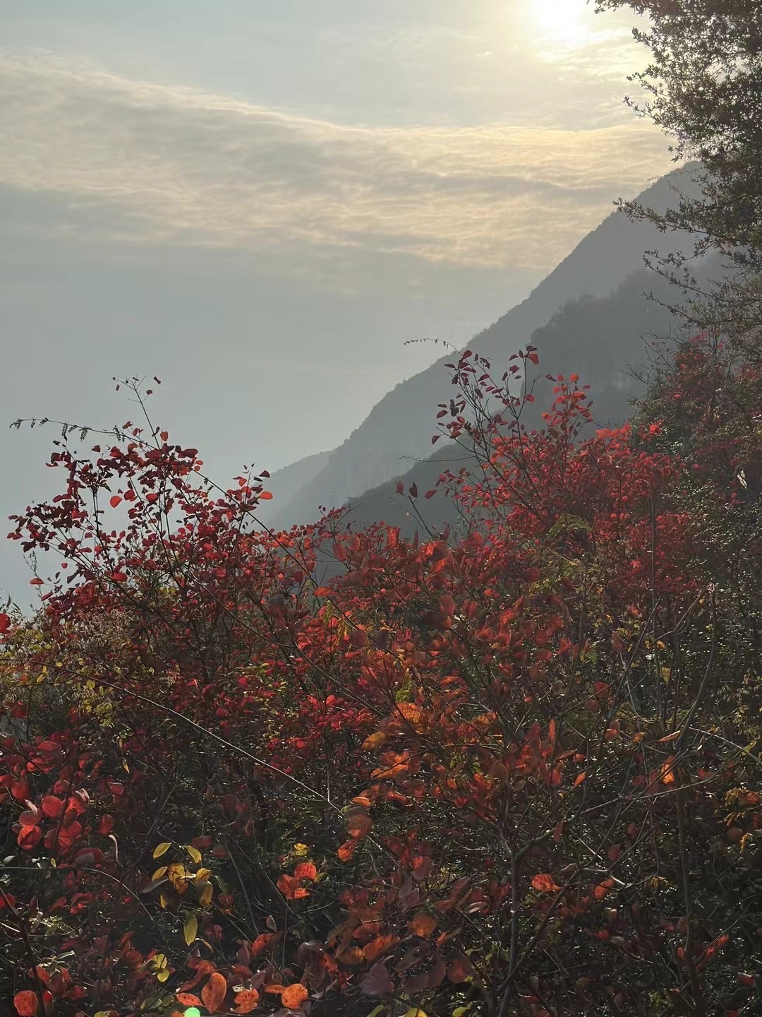 巫峡神女景区旅行图片 3