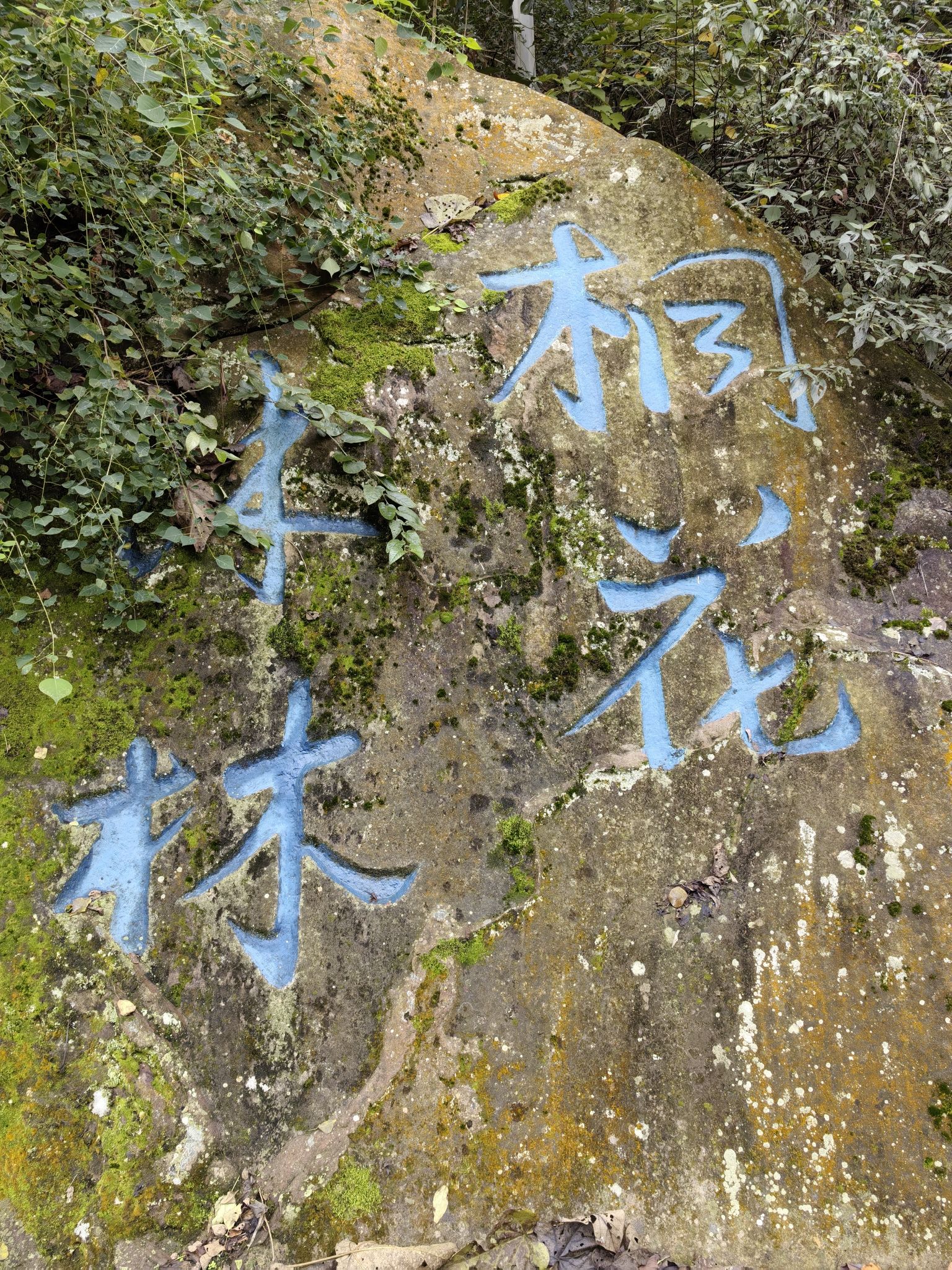 双石牌坊景点旅行图片 3