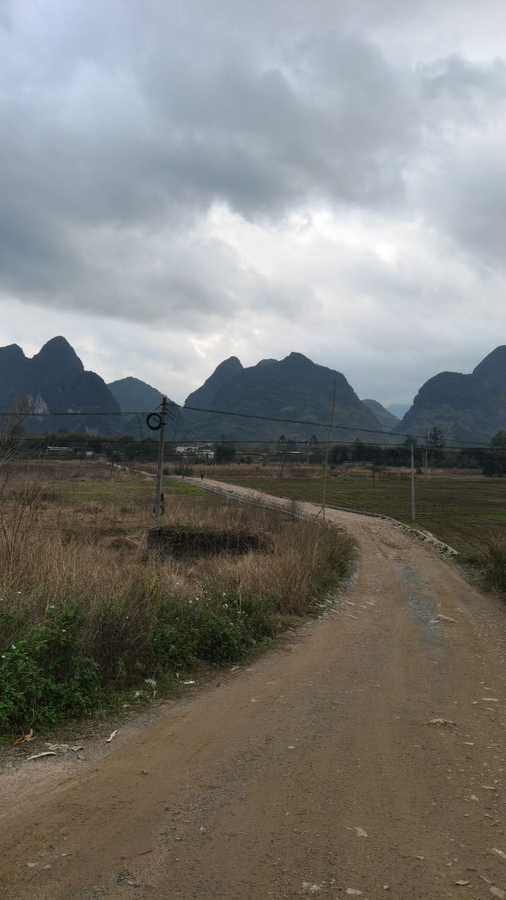 肇庆市·十里画廊旅行图片 1