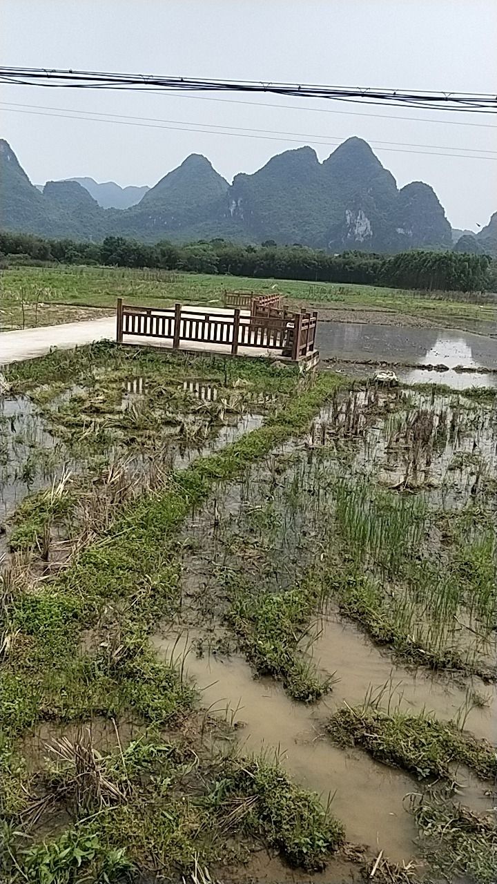 肇庆市·十里画廊旅行图片 1