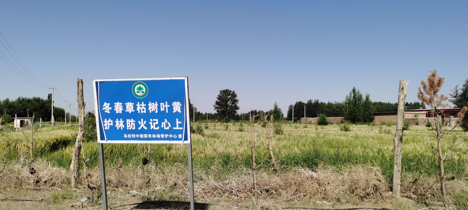 乌拉特草原旅行图片 1
