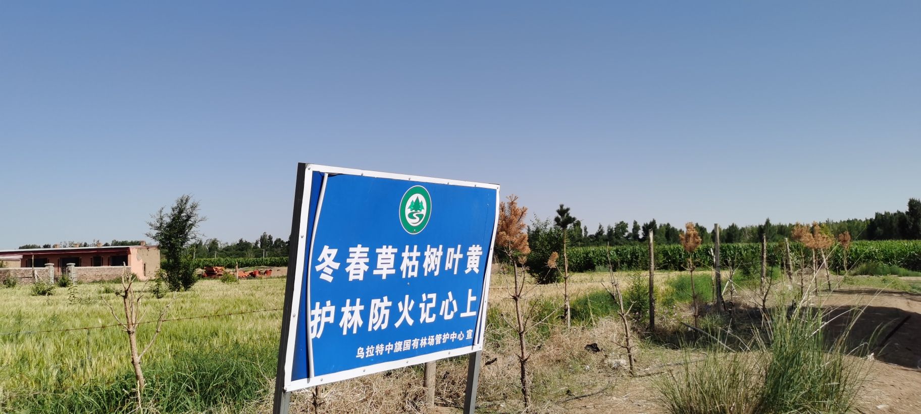 乌拉特草原旅行图片 3