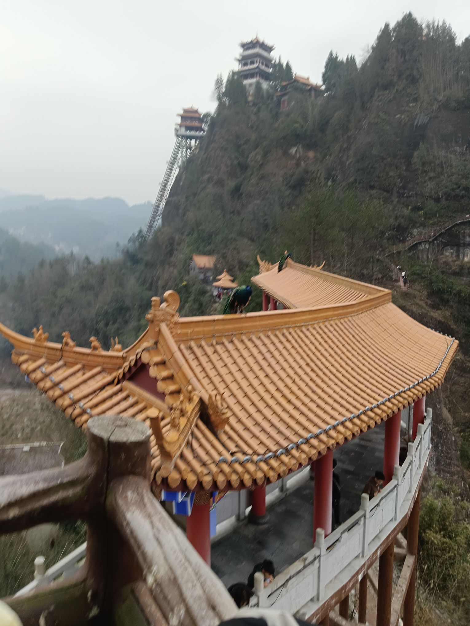 太平山景区旅行图片 2