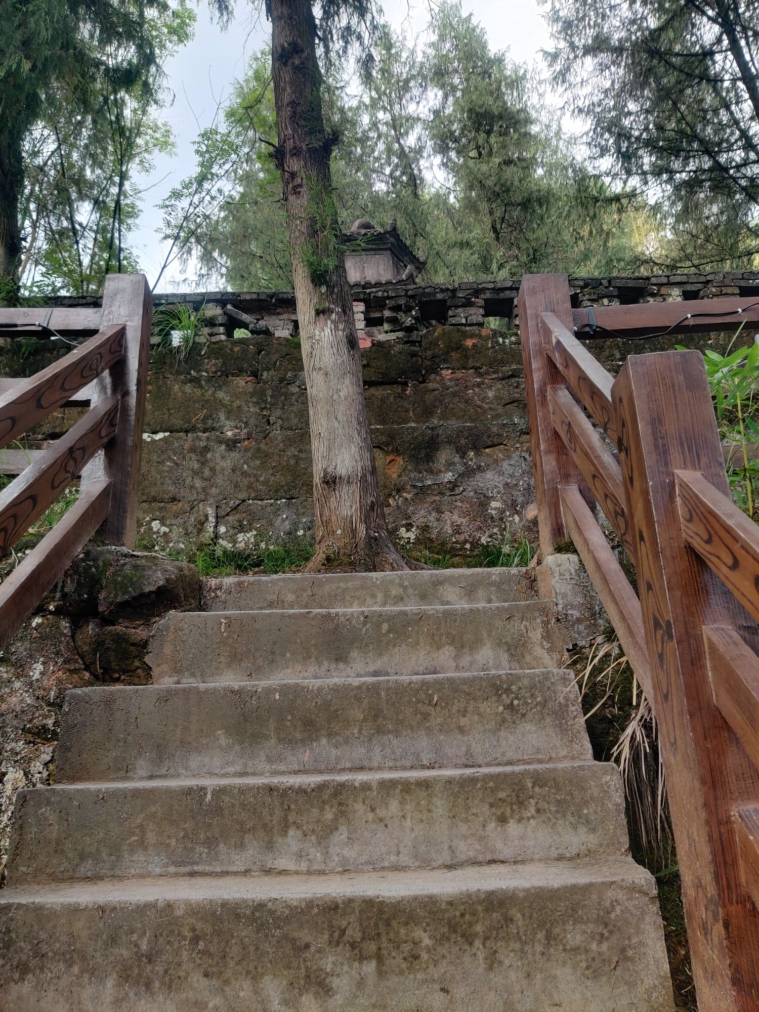 太平山景区旅行图片 3