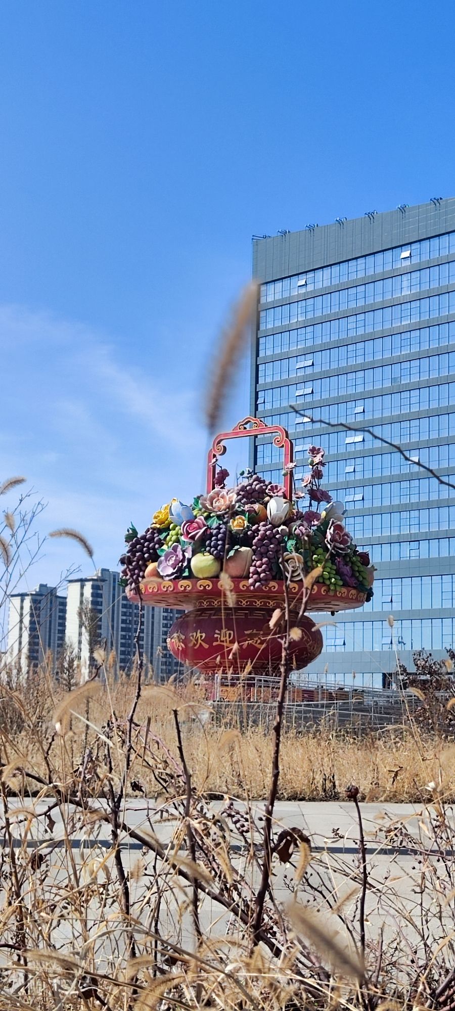 花篮主题公园旅行图片 3