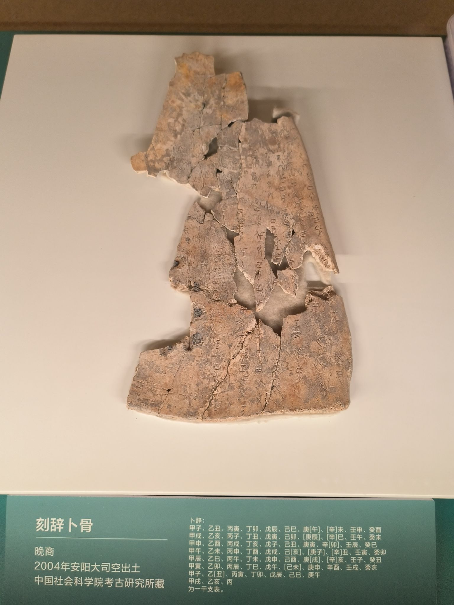 卫国故城旅行图片 3