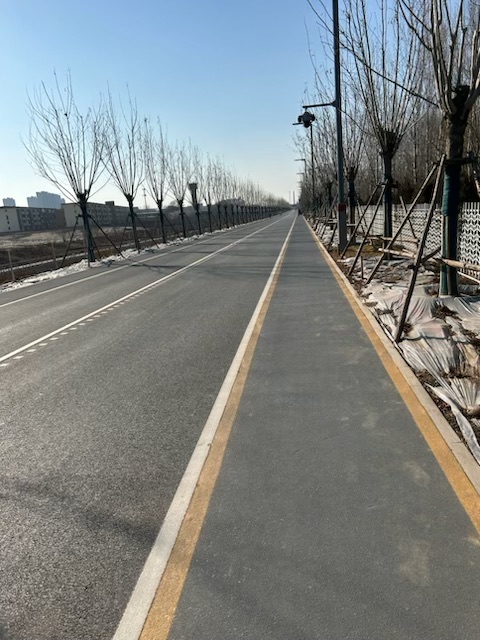 南湖公园旅行图片 1