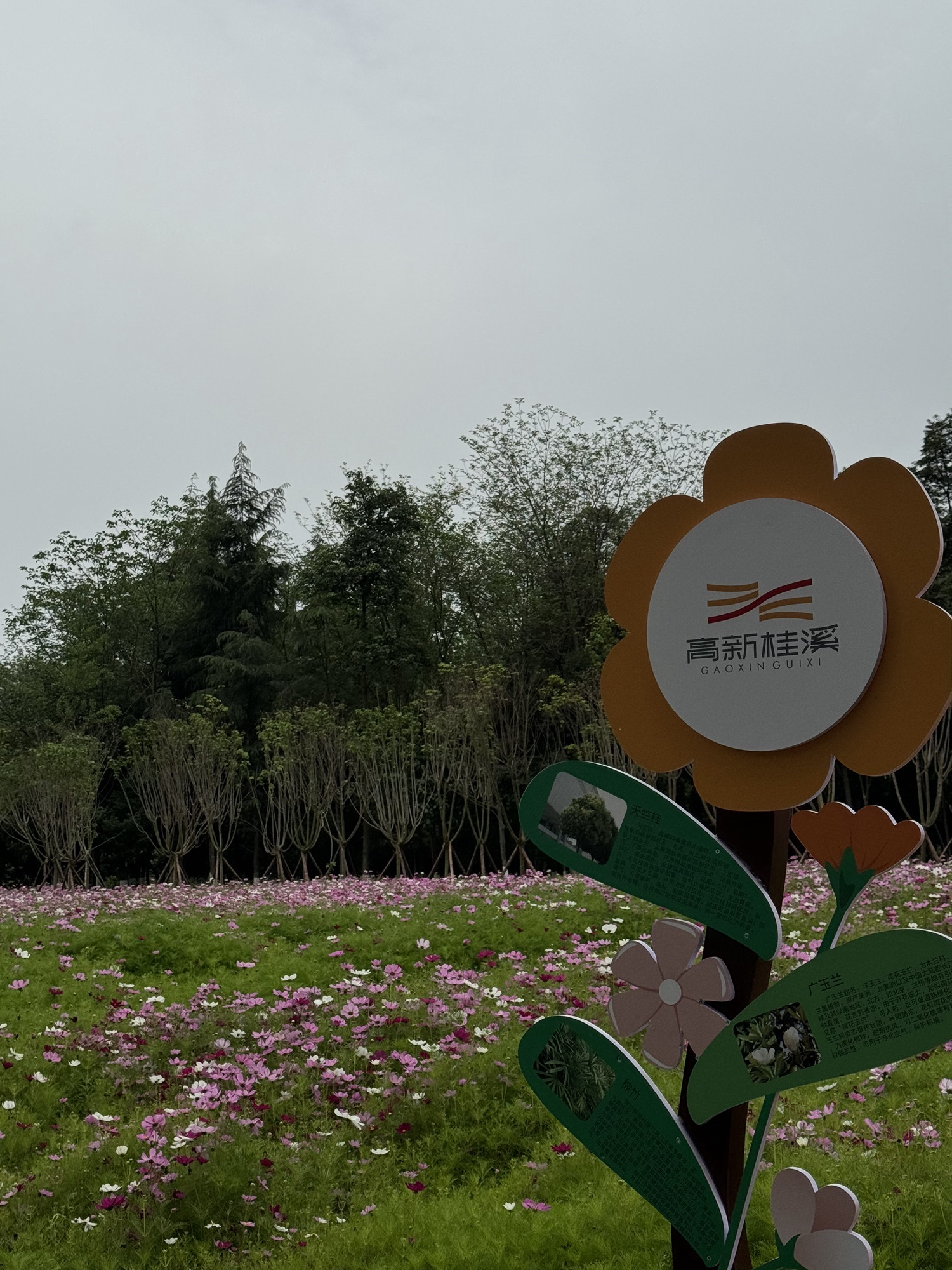 成都高新技术产业开发区(南区)