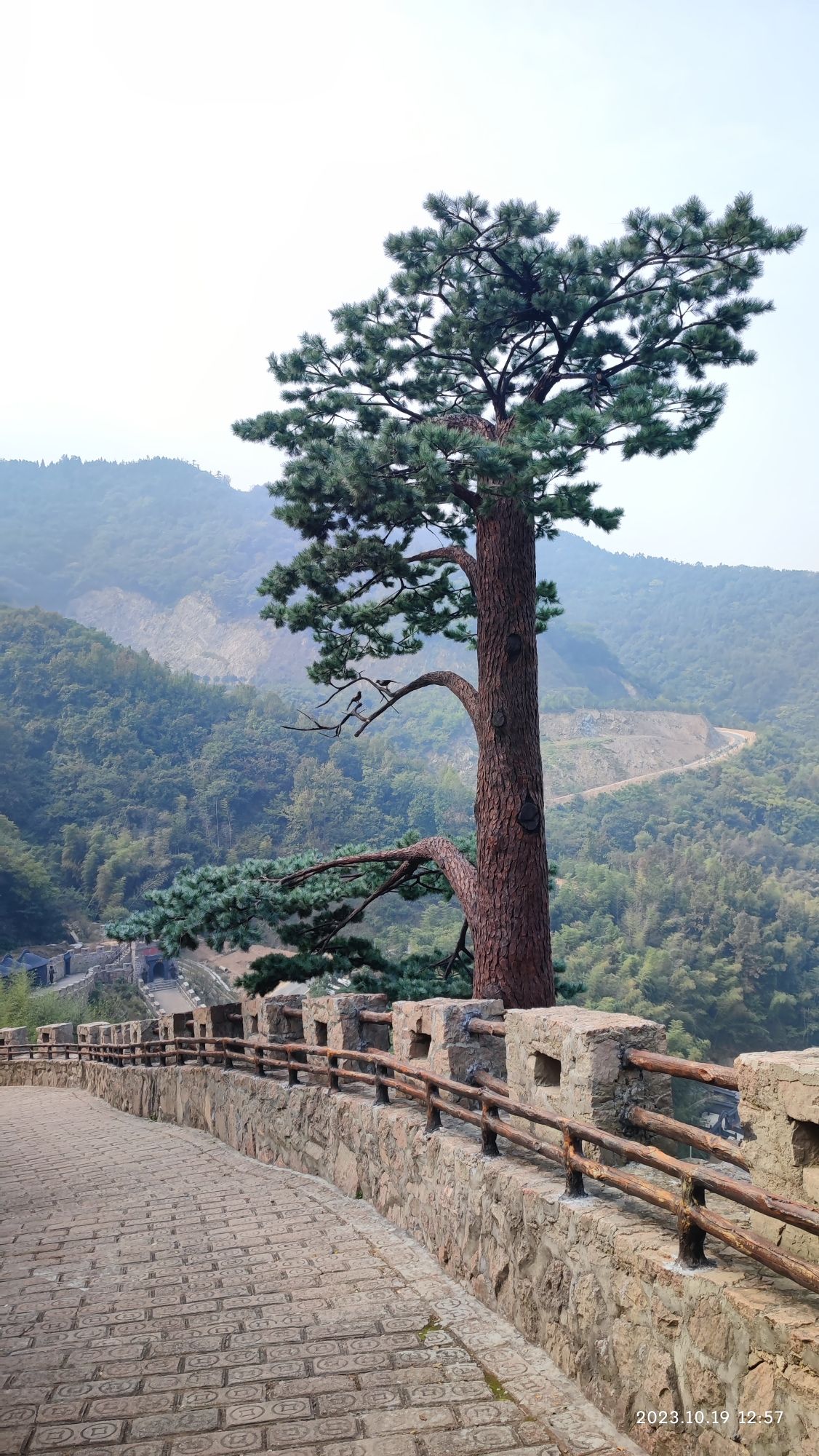 天子寨风景区旅行图片 3