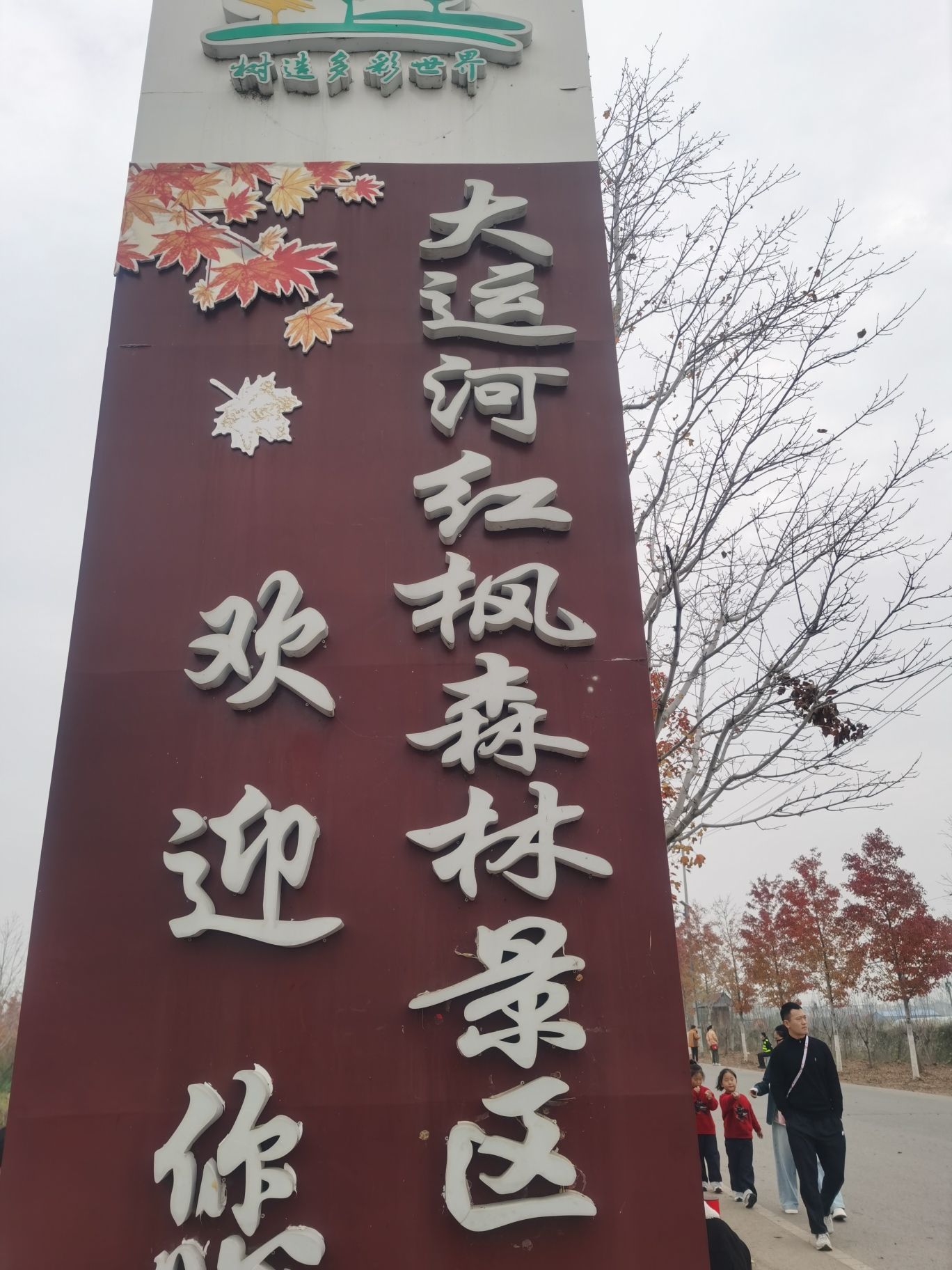 大运河红枫森林景区