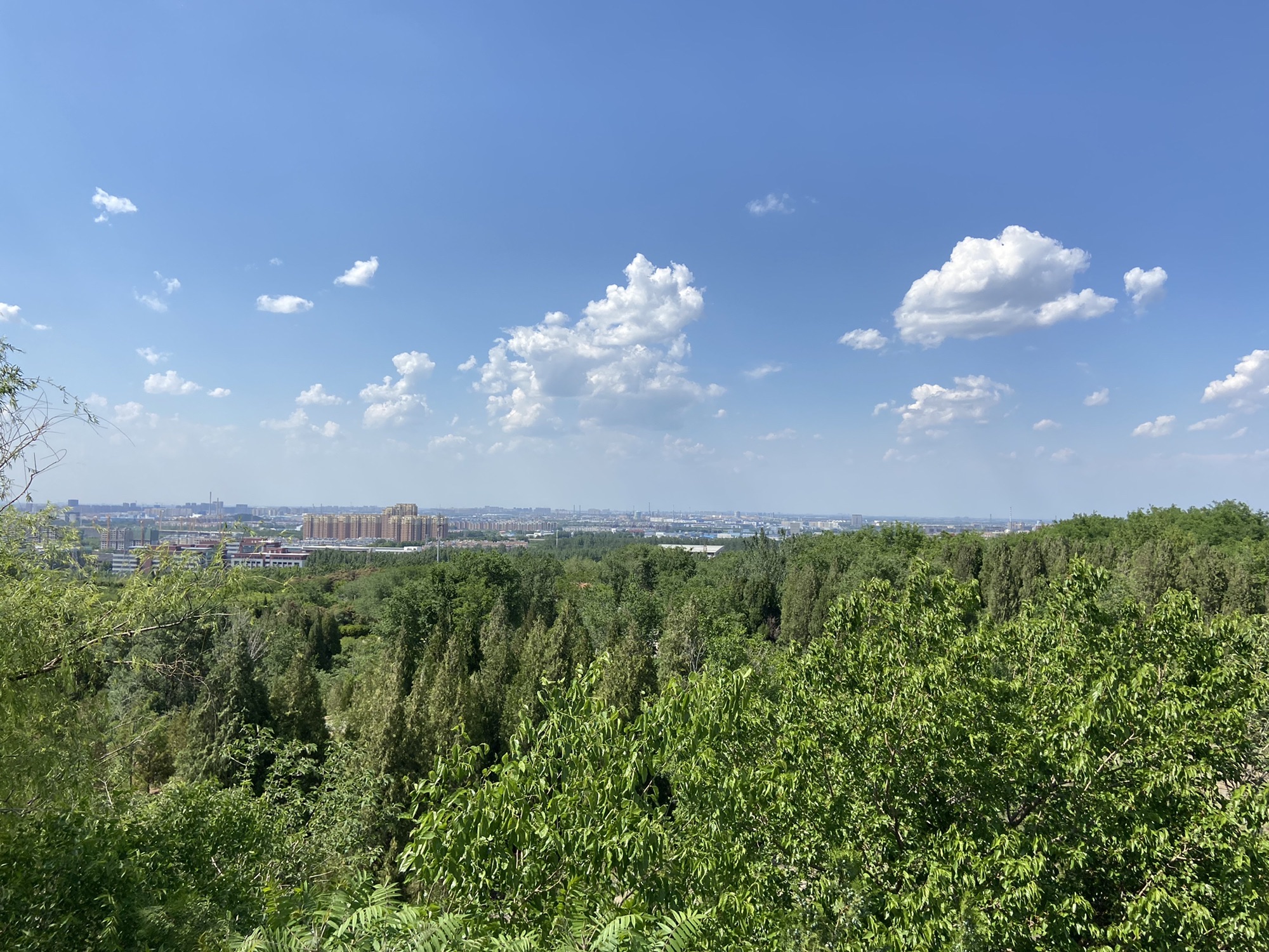 花山公园旅行图片 3