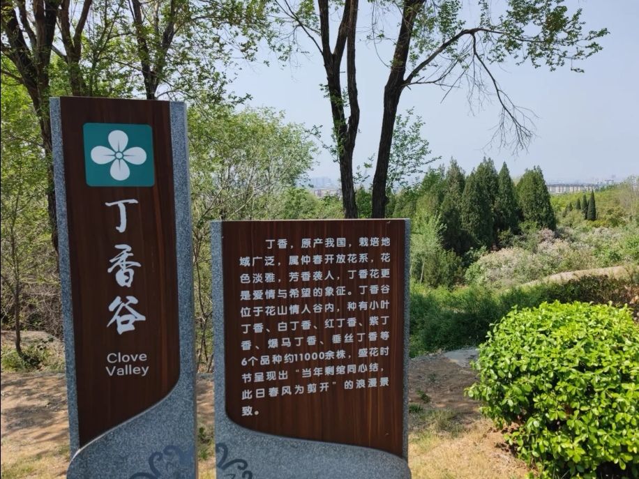 花山公园旅行图片 3