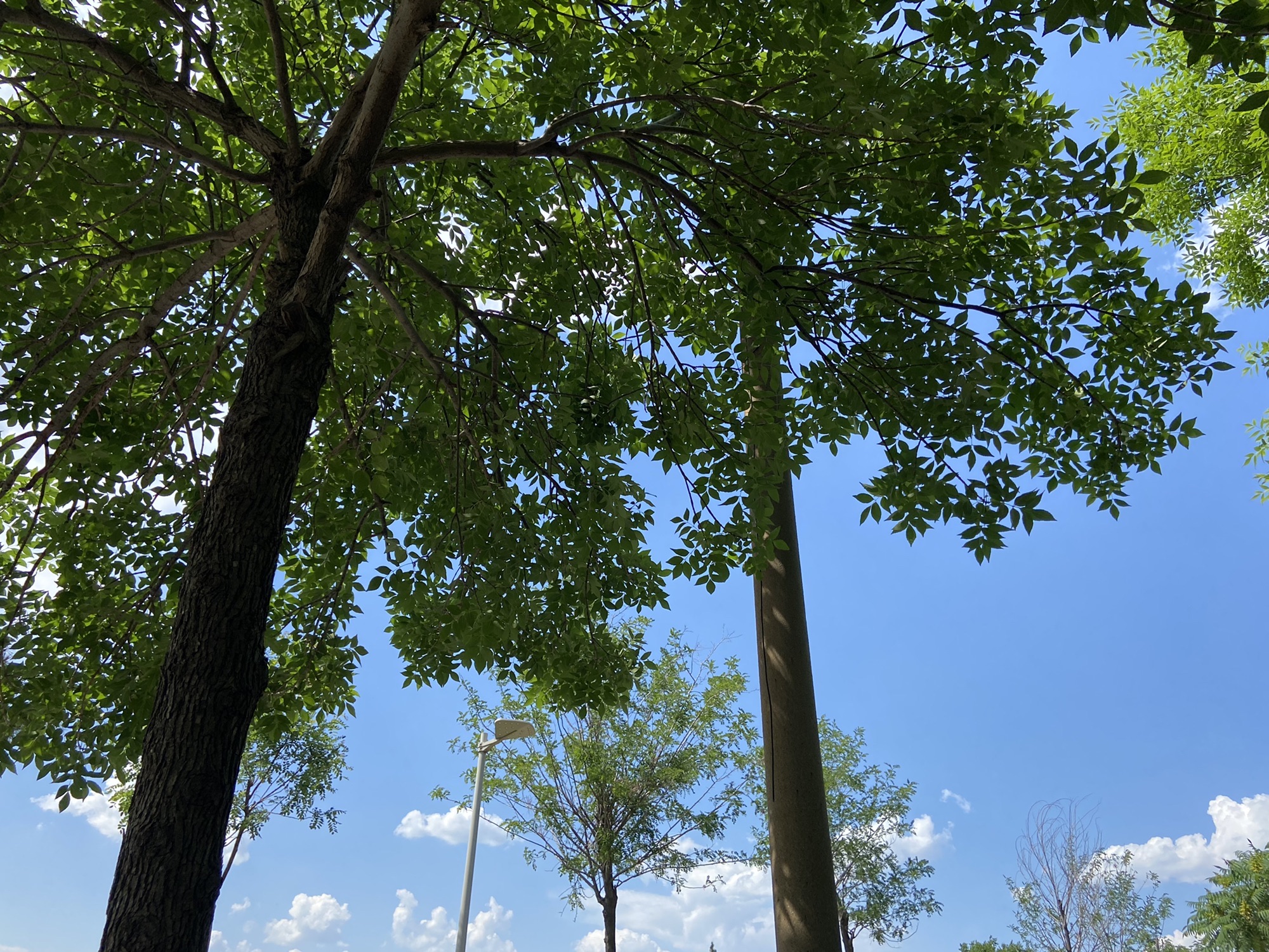 花山公园旅行图片 1