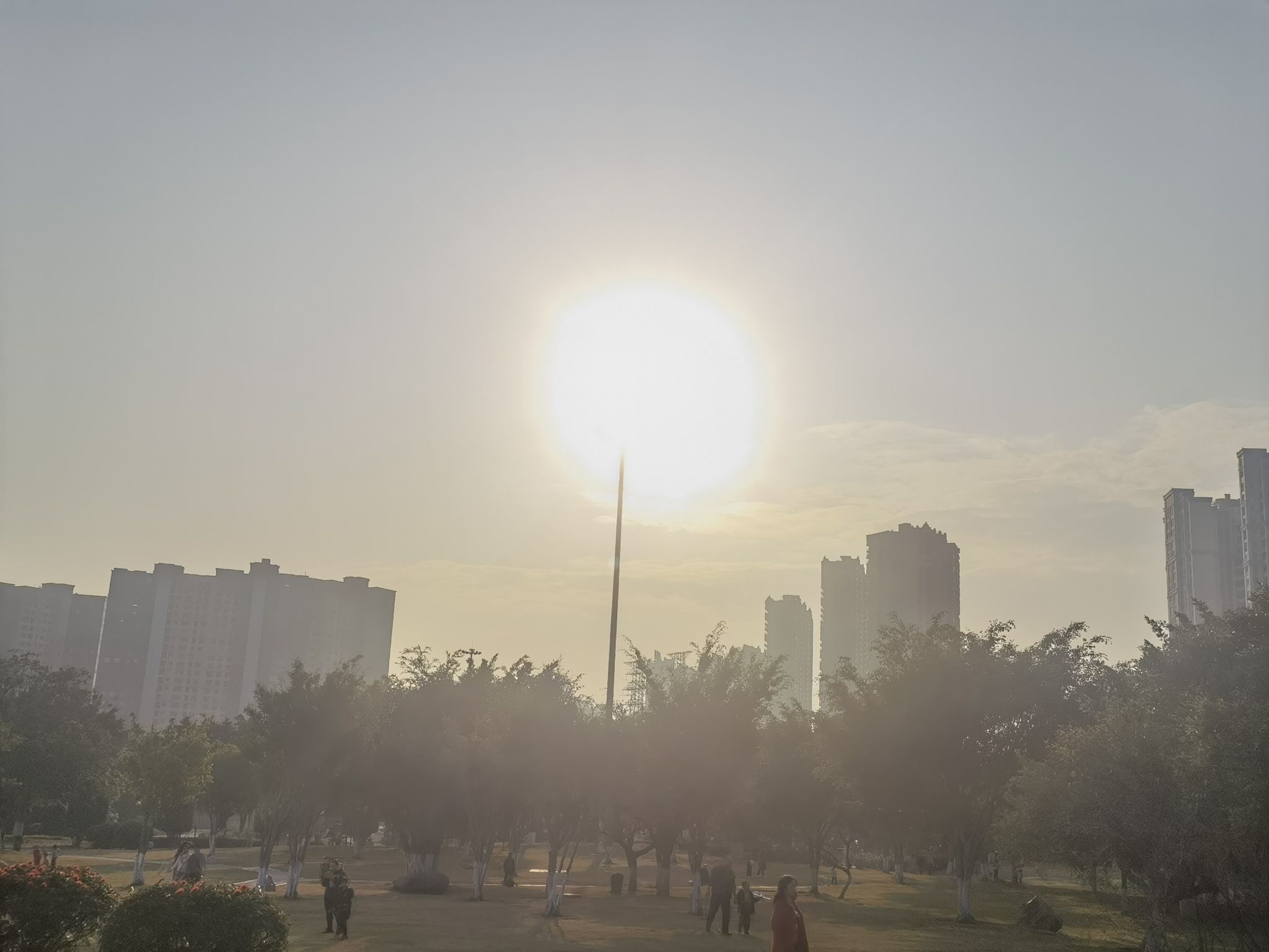 桥南中心公园旅行图片 2