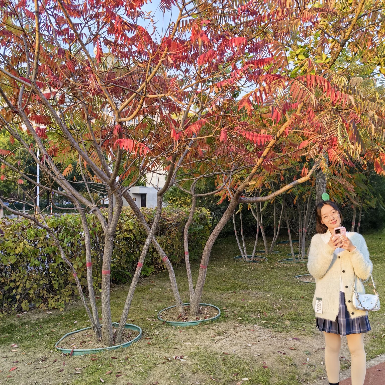 顺城公园旅行图片 3