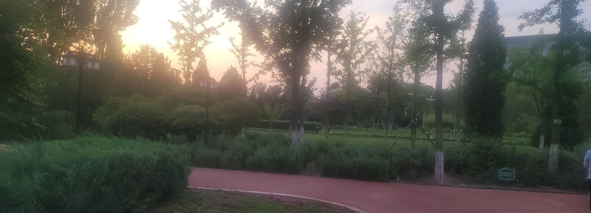 顺城公园旅行图片 2