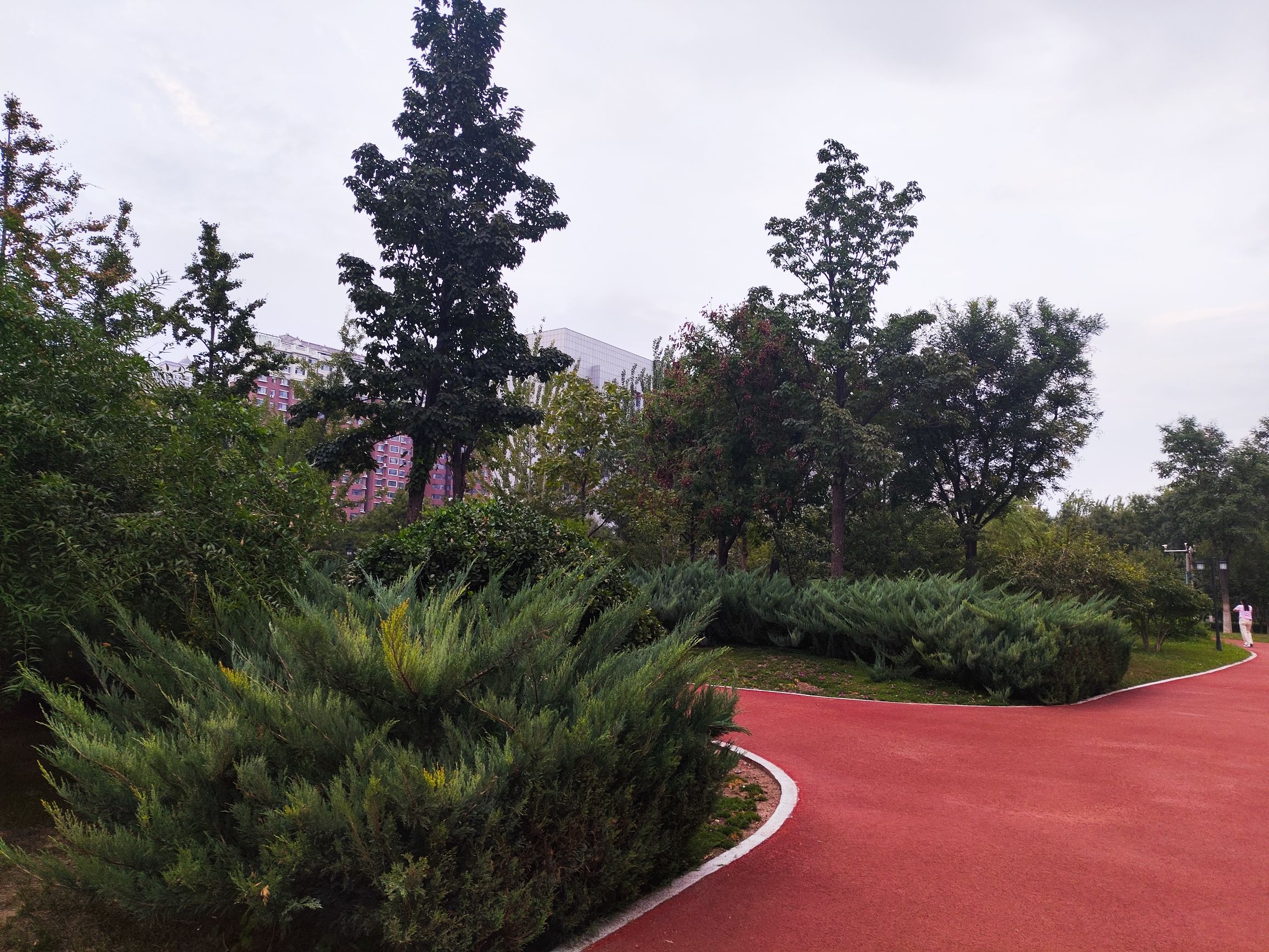顺城公园旅行图片 1