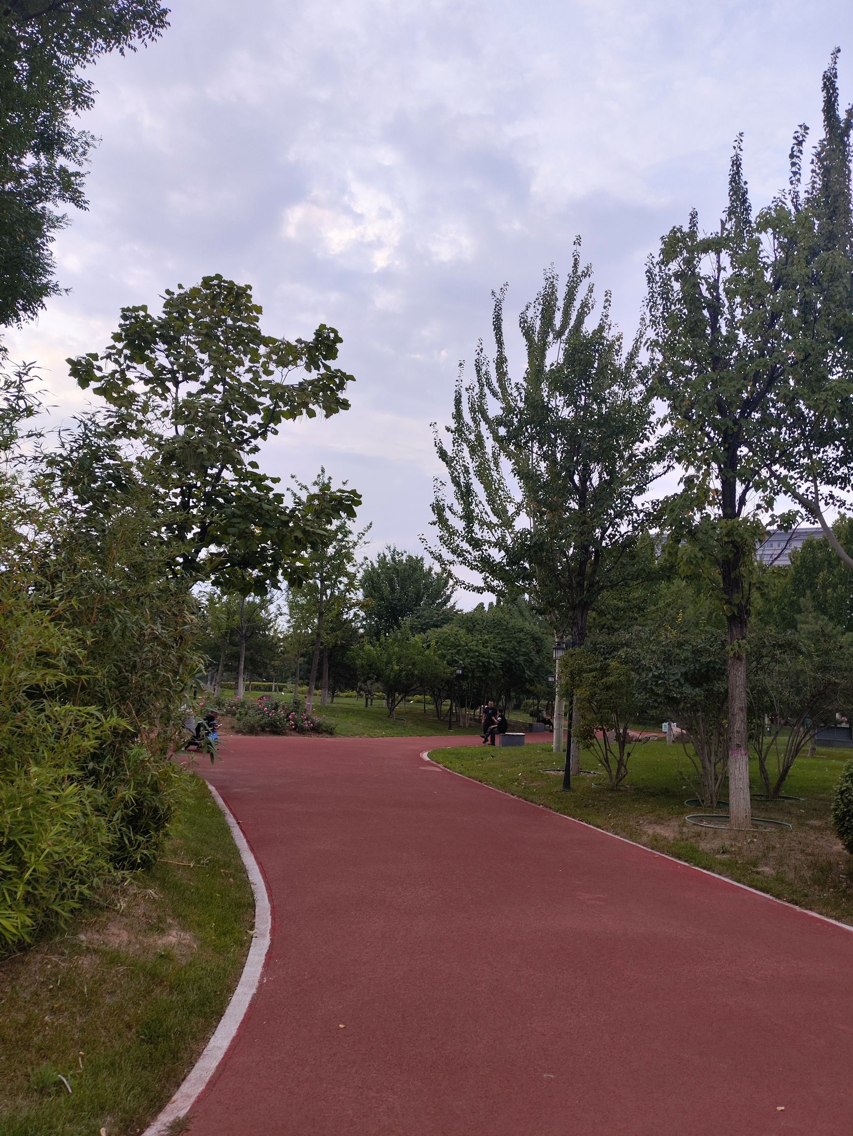 顺城公园旅行图片 2