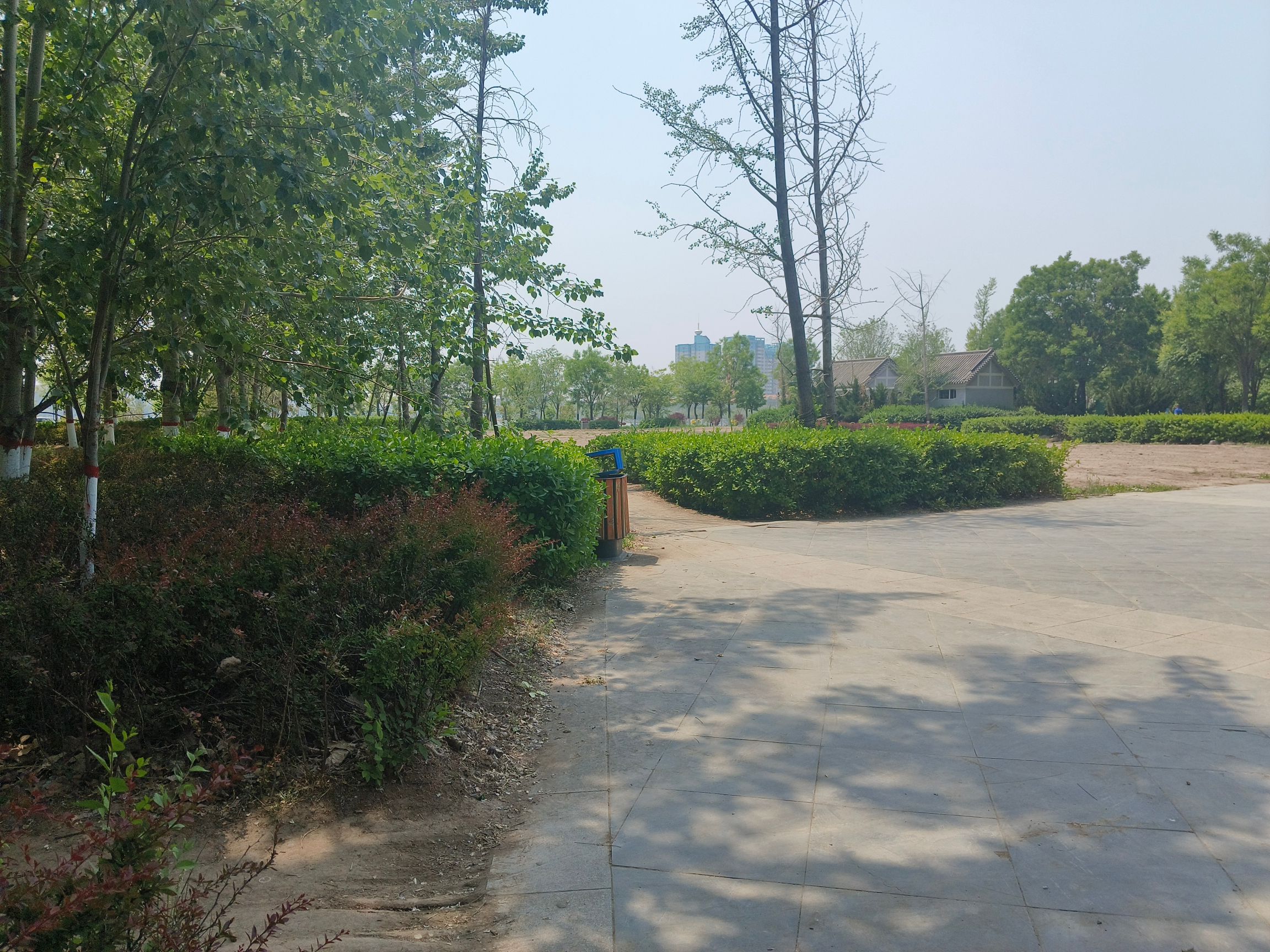 顺城公园旅行图片 1