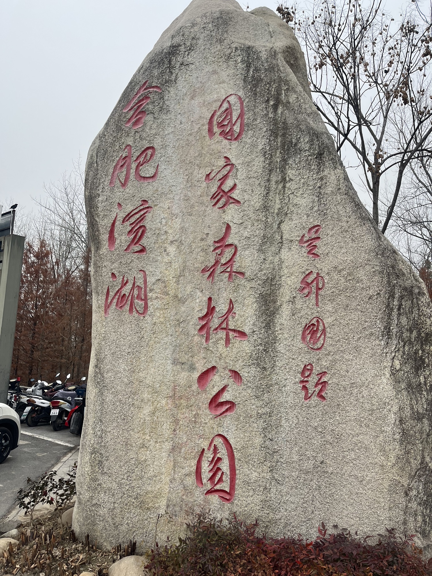 合肥巢湖湖滨国家湿地公园旅行图片 3