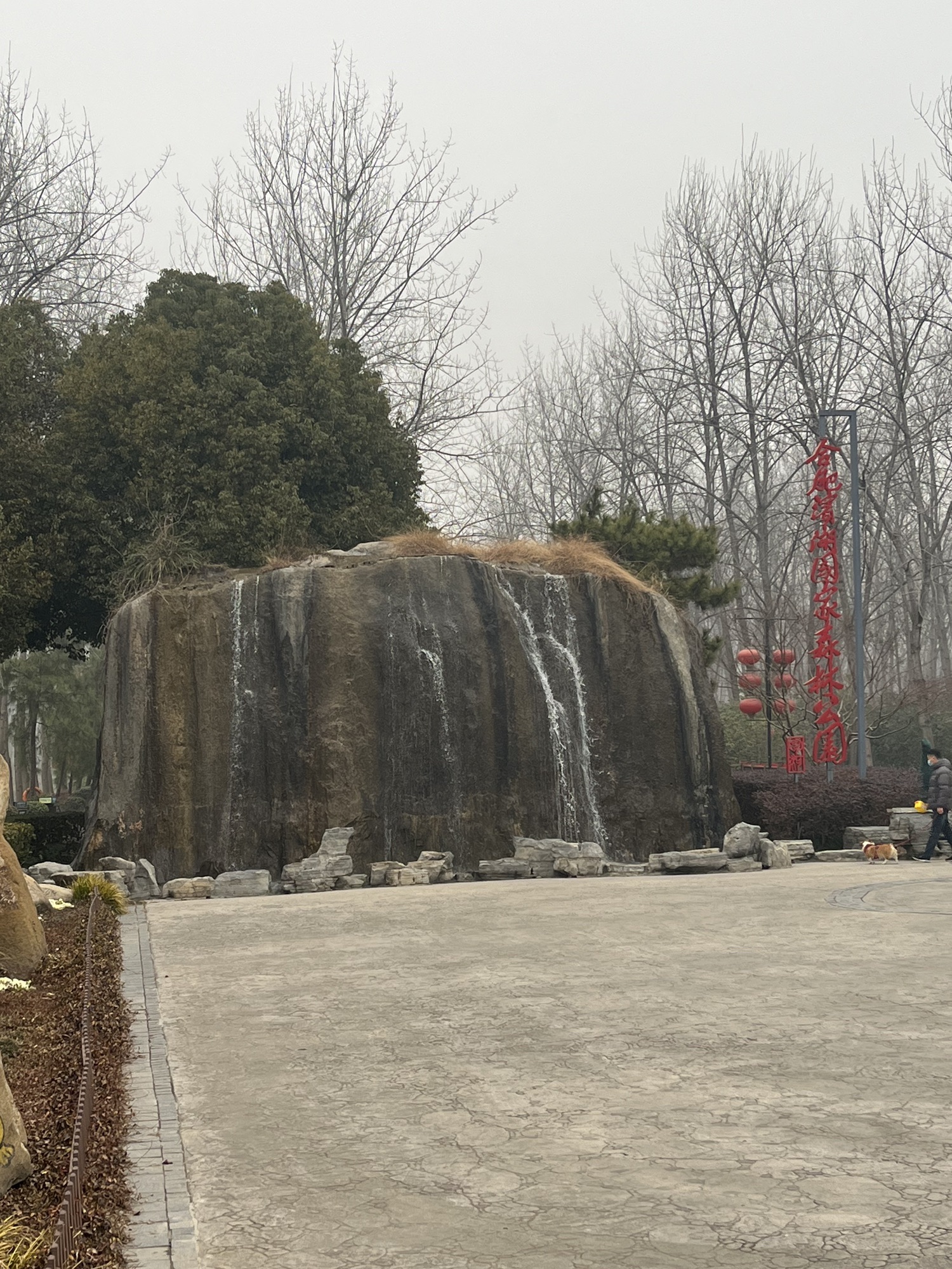 合肥巢湖湖滨国家湿地公园旅行图片 1