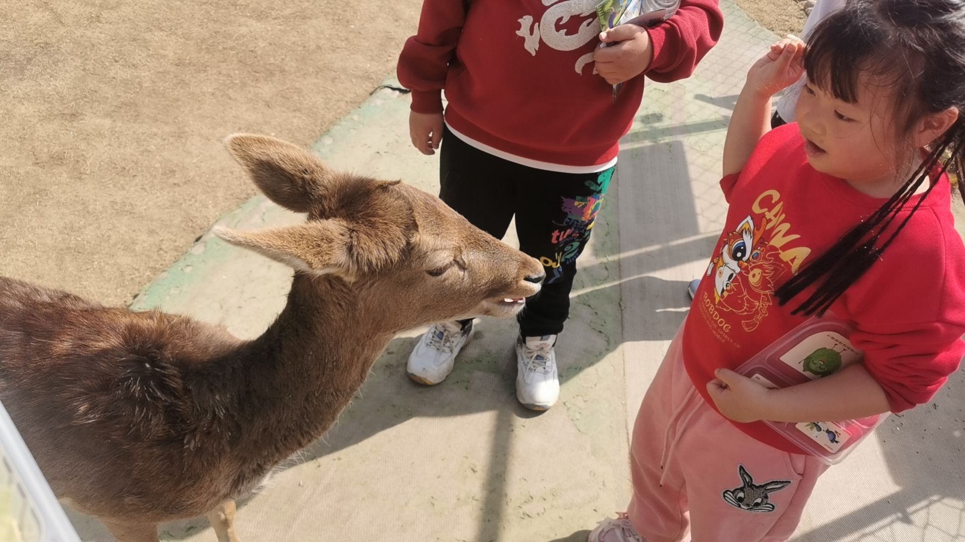 合肥巢湖湖滨国家湿地公园旅行图片 1