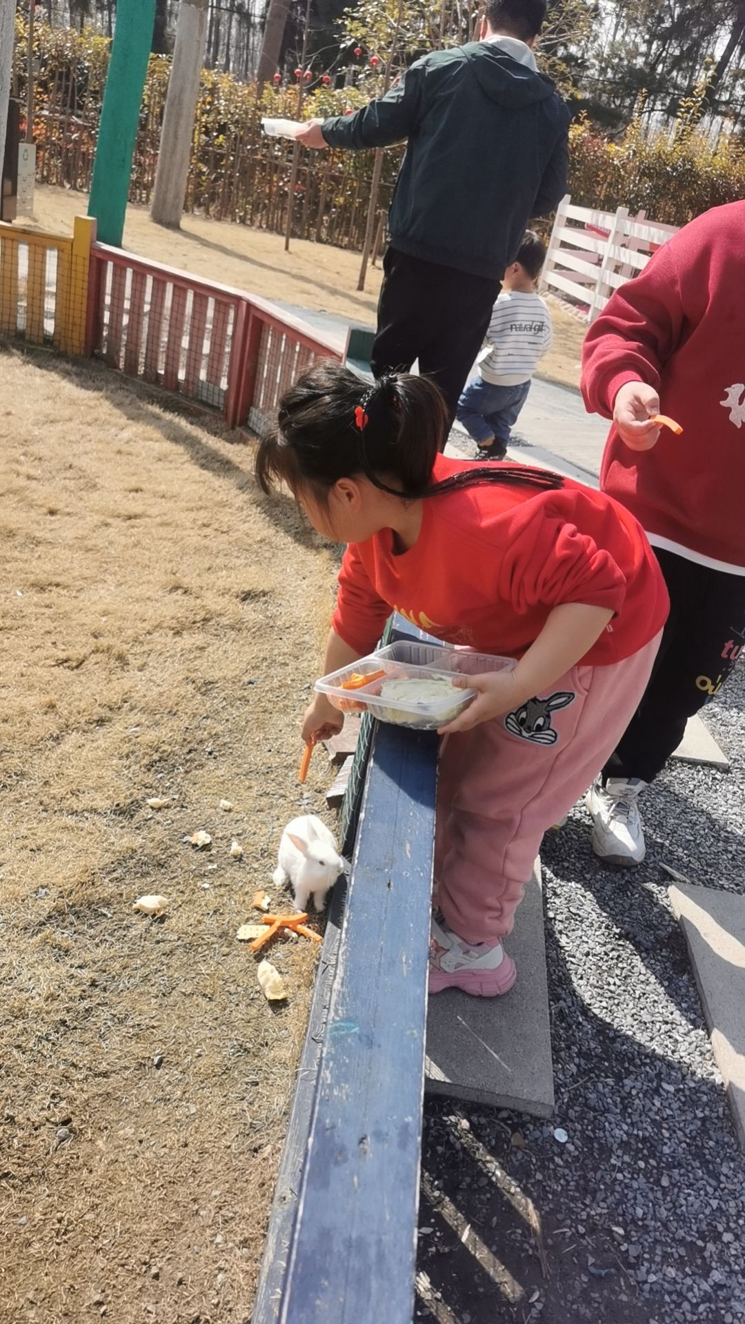 合肥巢湖湖滨国家湿地公园旅行图片 3