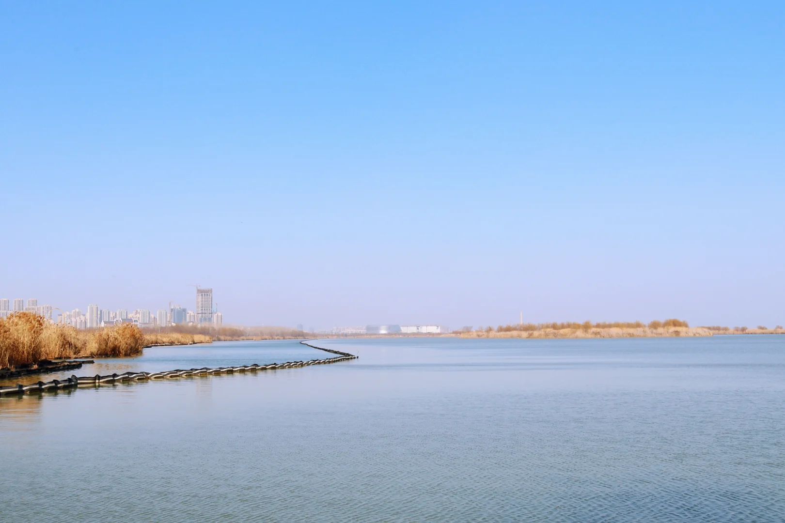 合肥巢湖湖滨国家湿地公园旅行图片 3