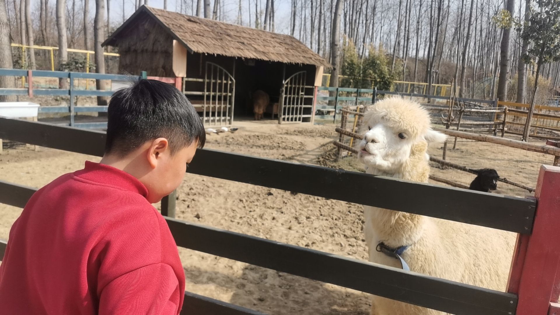 合肥巢湖湖滨国家湿地公园旅行图片 2