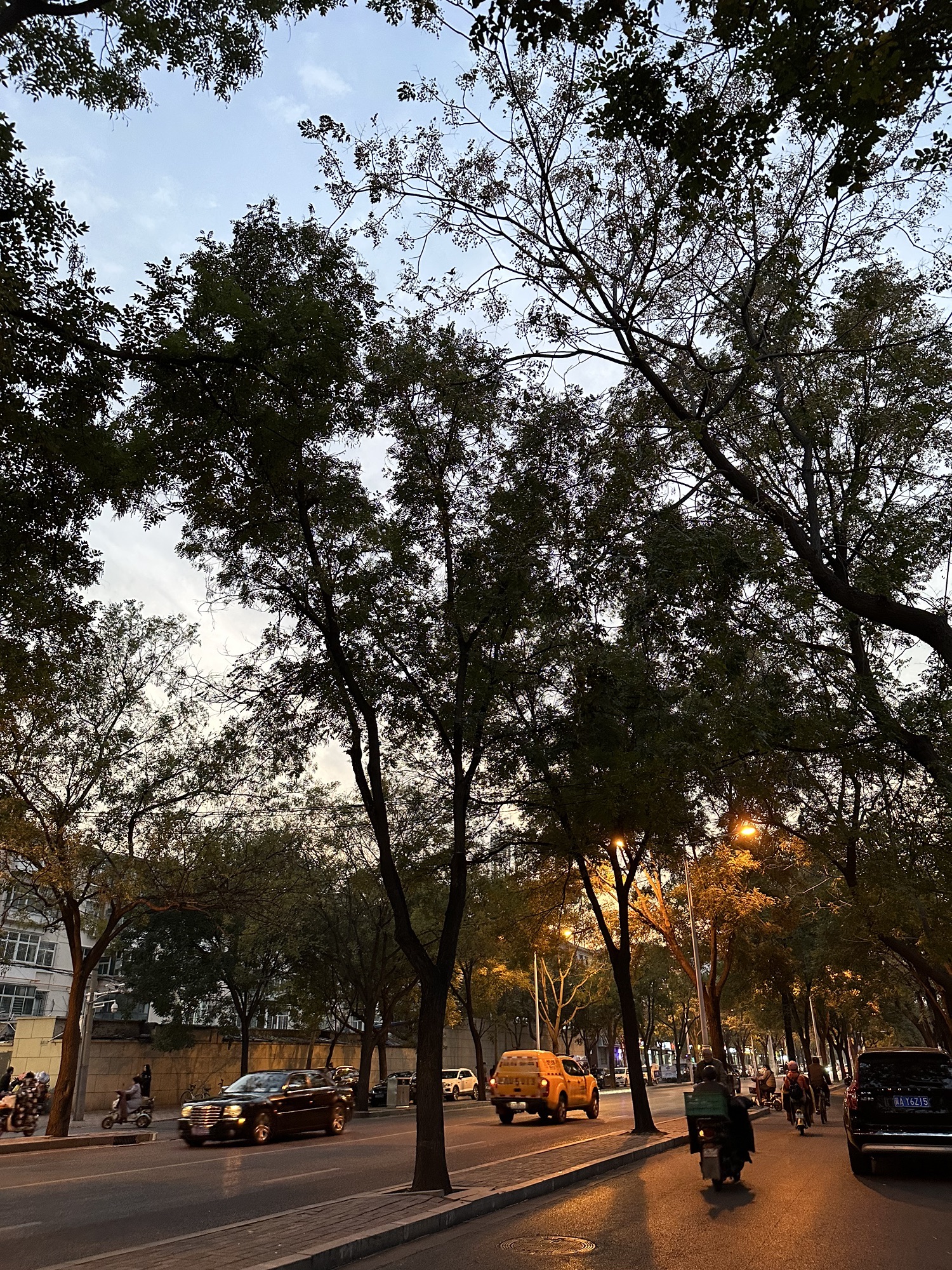 塔坛公园旅行图片 3