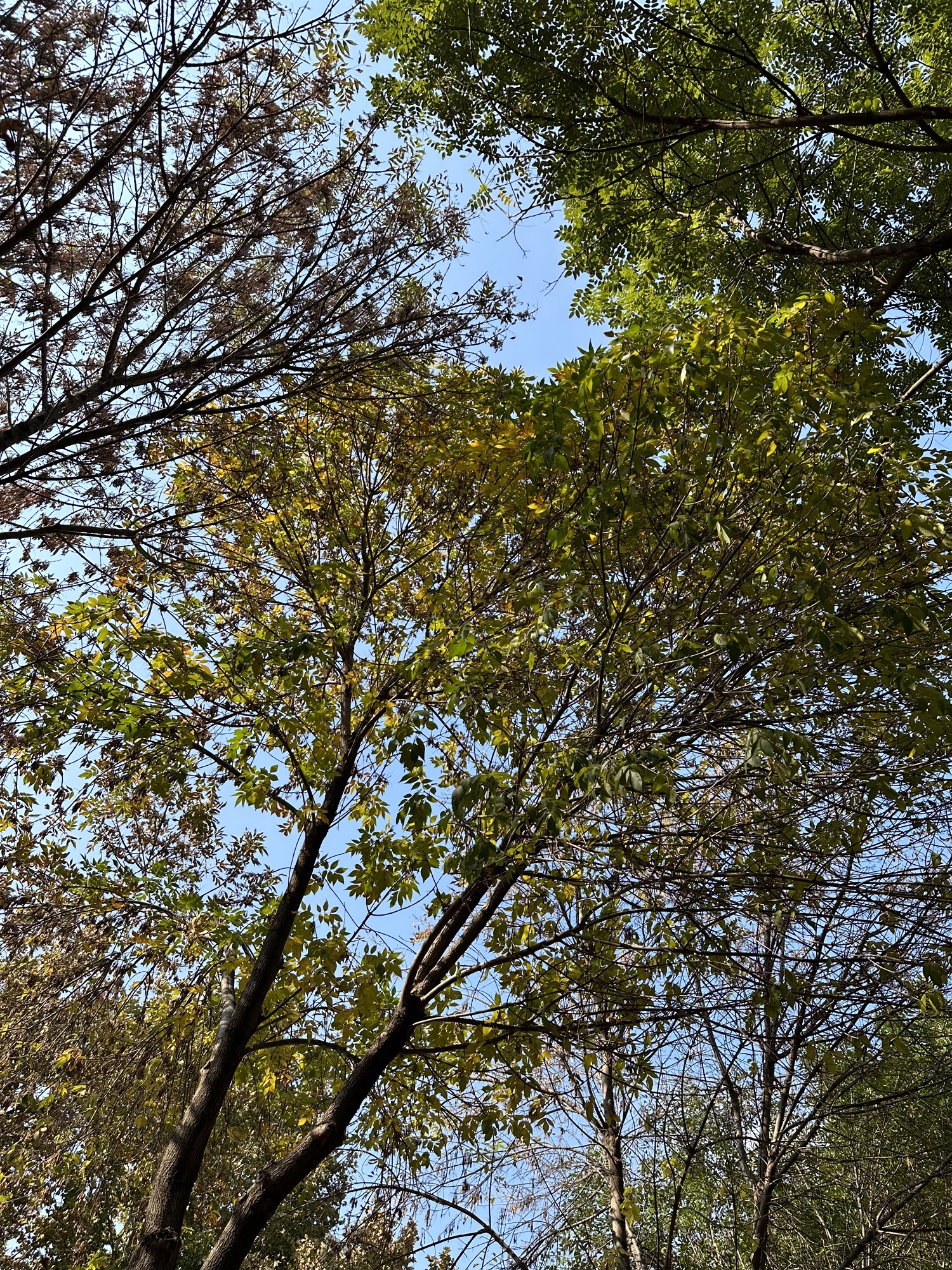 塔坛公园旅行图片 2