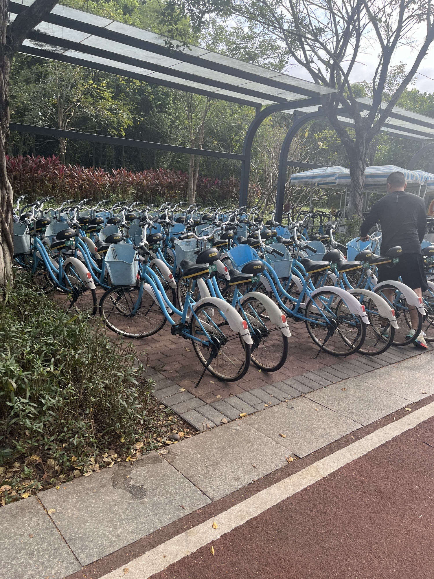 云东海国家湿地公园旅行图片 2