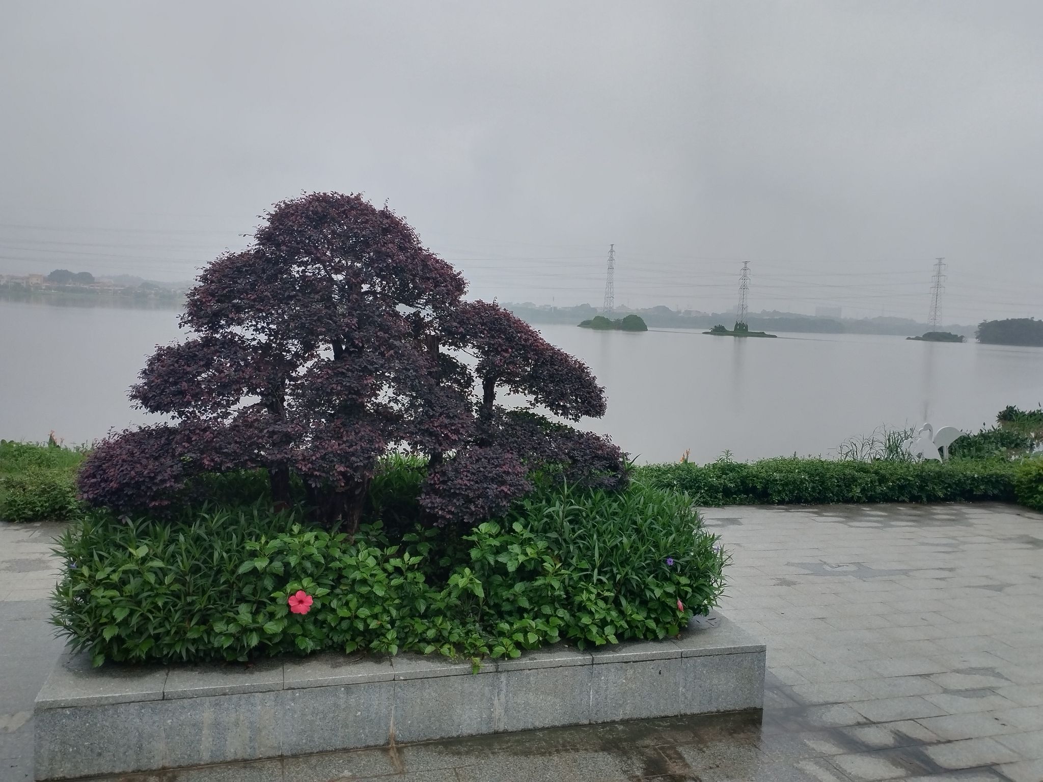 云东海国家湿地公园旅行图片 3