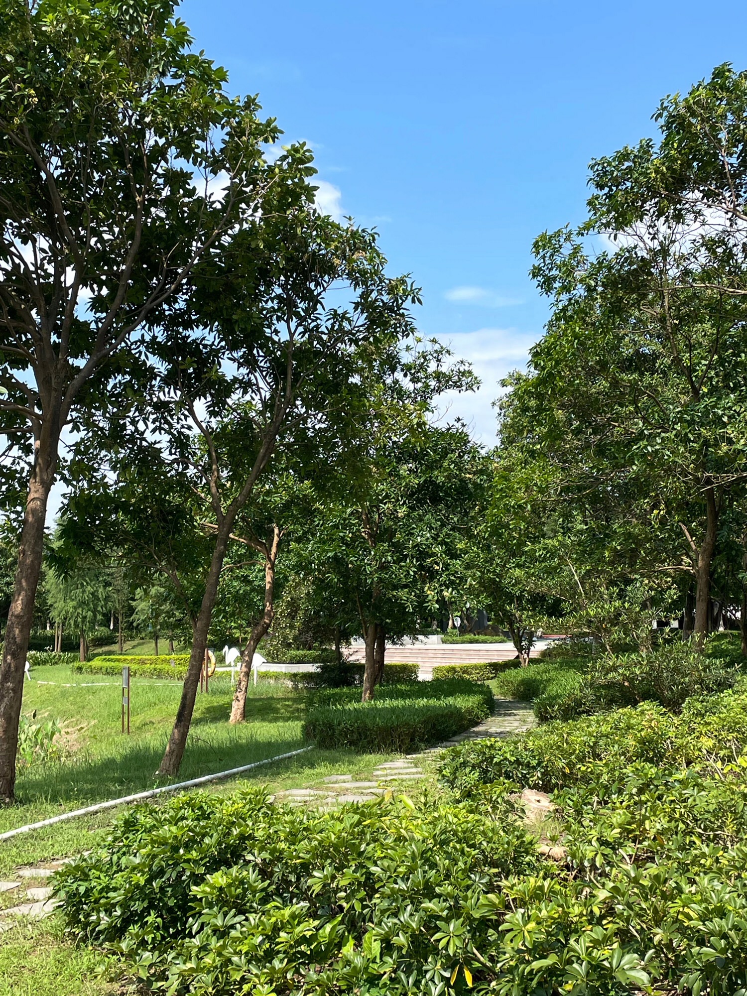 云东海国家湿地公园旅行图片 1