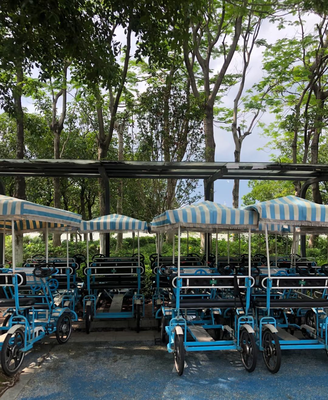 云东海国家湿地公园旅行图片 3